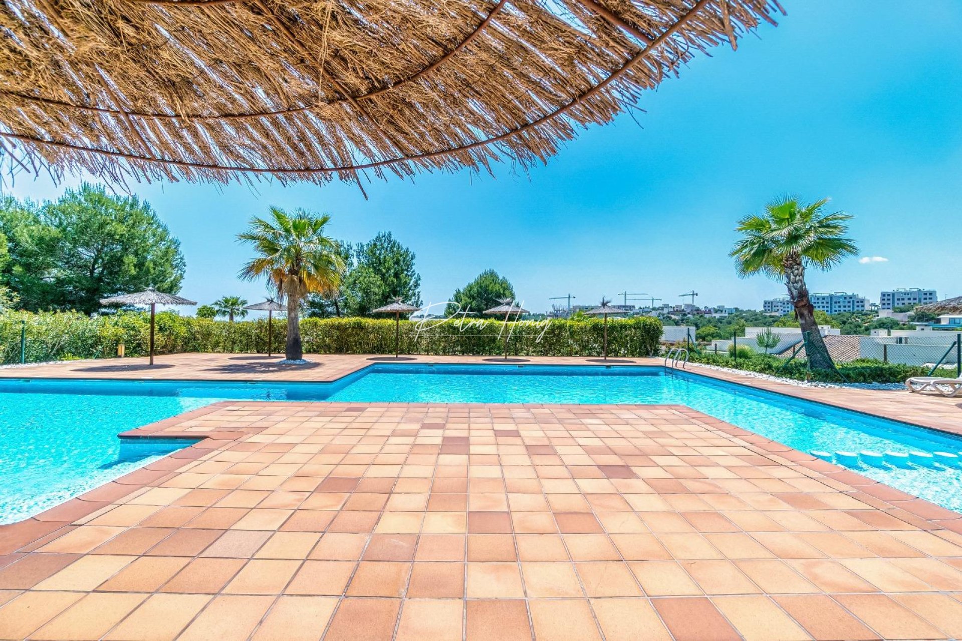 Resales - Appartement - Orihuela Costa - Las Colinas Golf