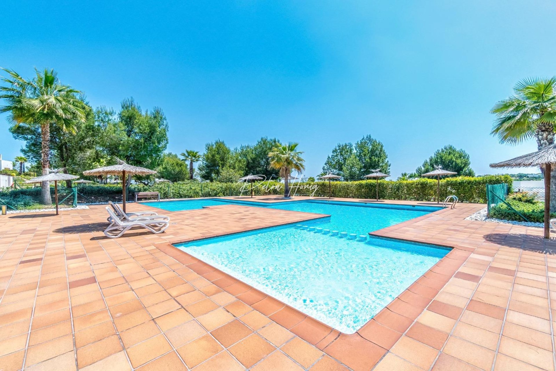 Resales - Appartement - Orihuela Costa - Las Colinas Golf