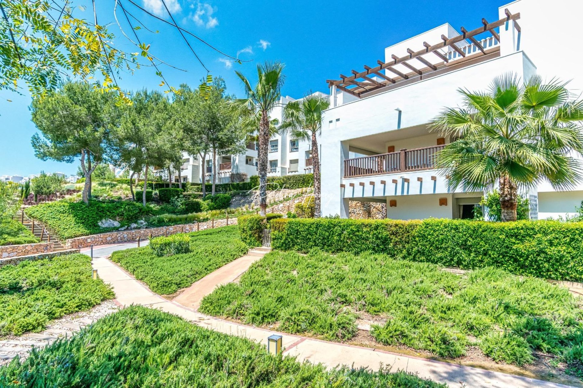 Resales - Appartement - Orihuela Costa - Las Colinas Golf