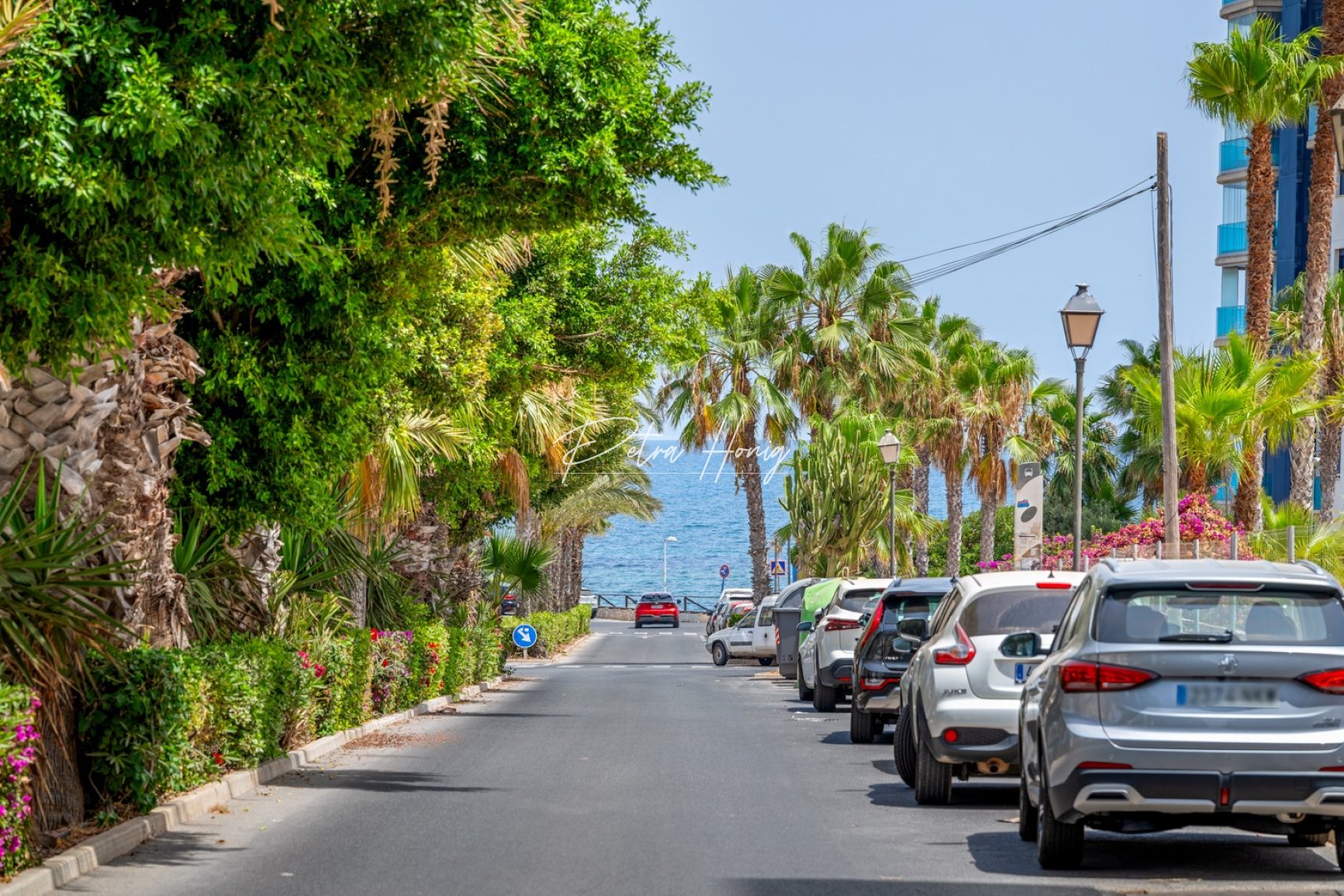 Resales - Appartement - Orihuela Costa - Punta Prima