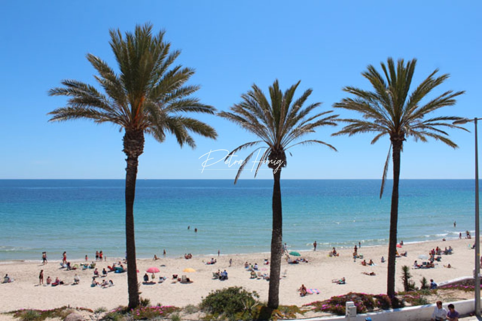 Resales - Appartement - Pilar de La Horadada - Mil Palmeras