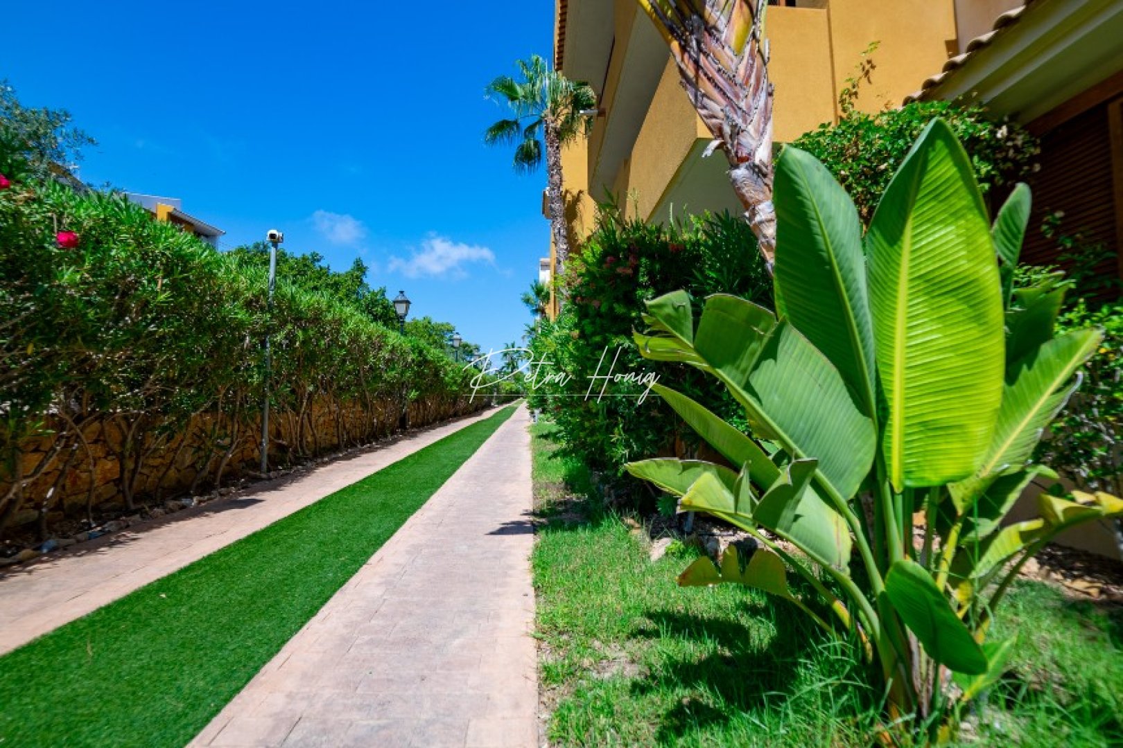 Resales - Appartement - Punta Prima