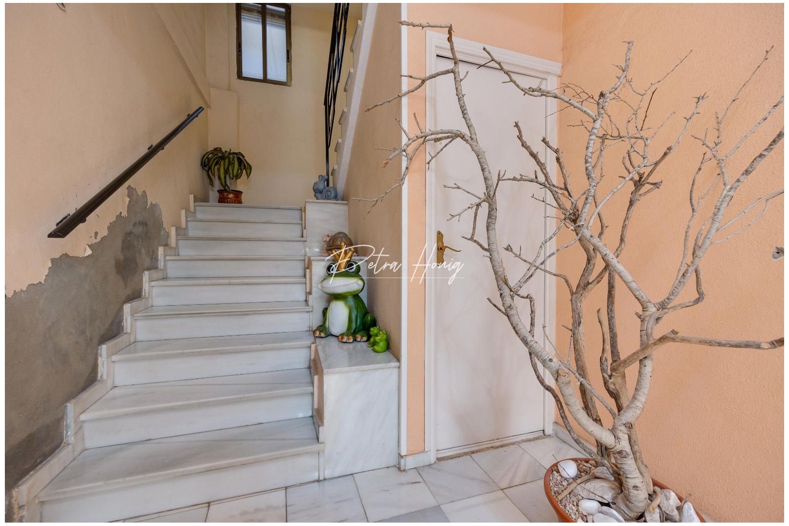 Resales - Appartement - Torrevieja - Centro - Muelle Pesquero