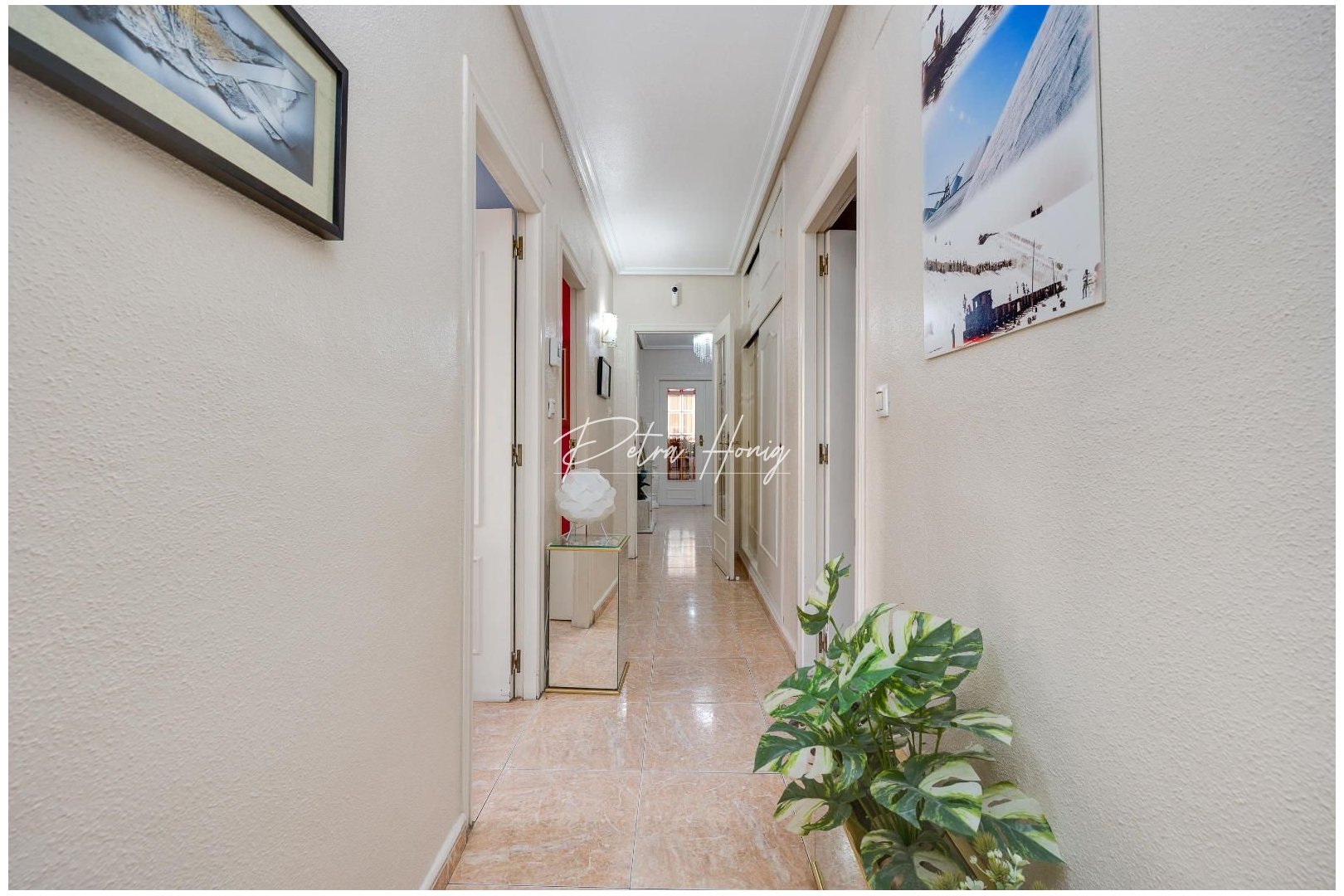 Resales - Appartement - Torrevieja - Centro - Muelle Pesquero