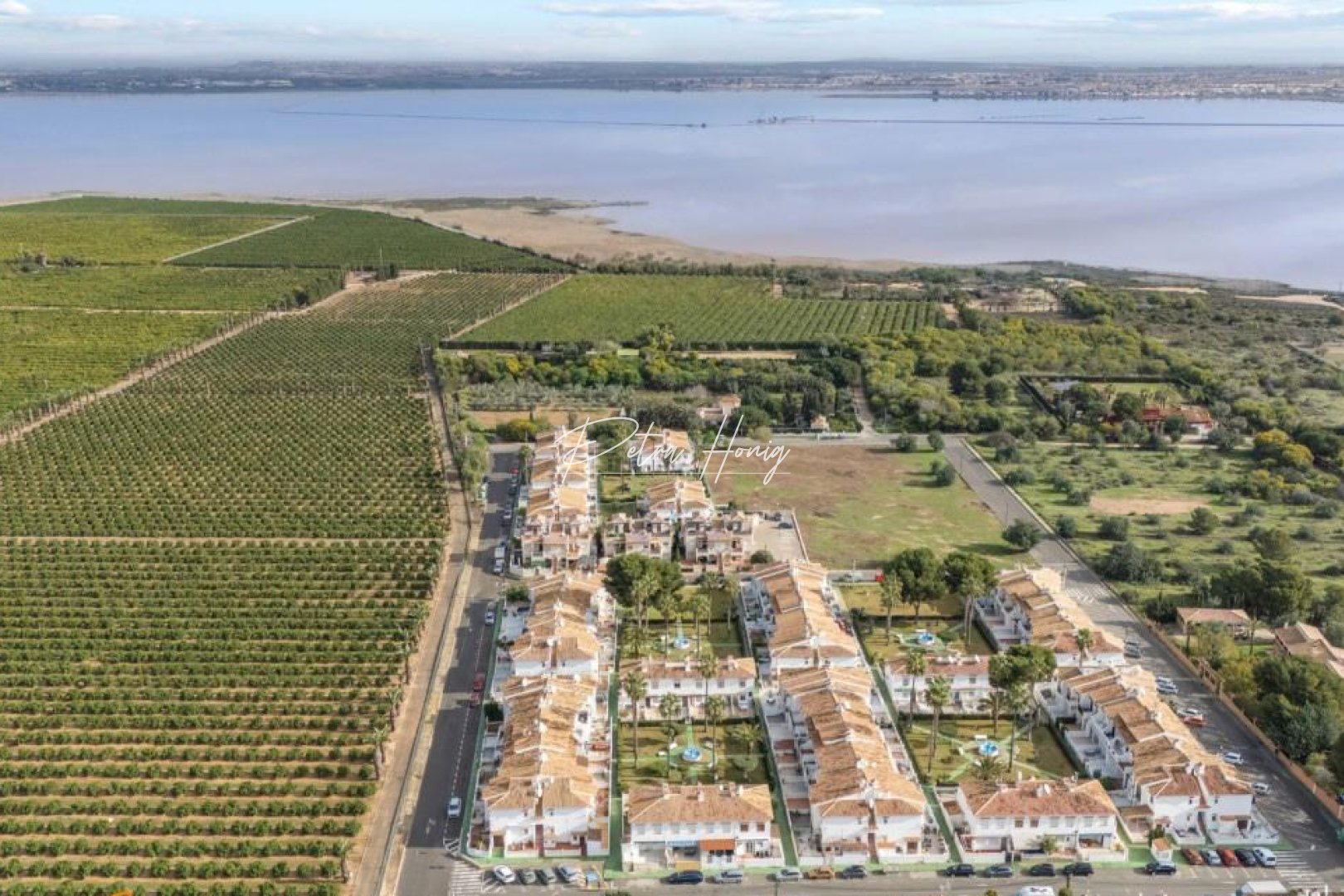 Resales - Appartement - Torrevieja - Lago jardin