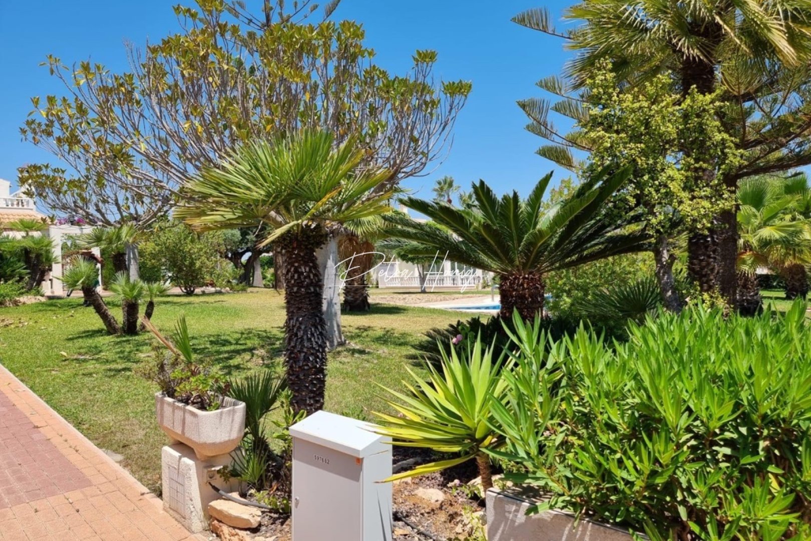 Resales - Appartement - Torrevieja - Los Balcones