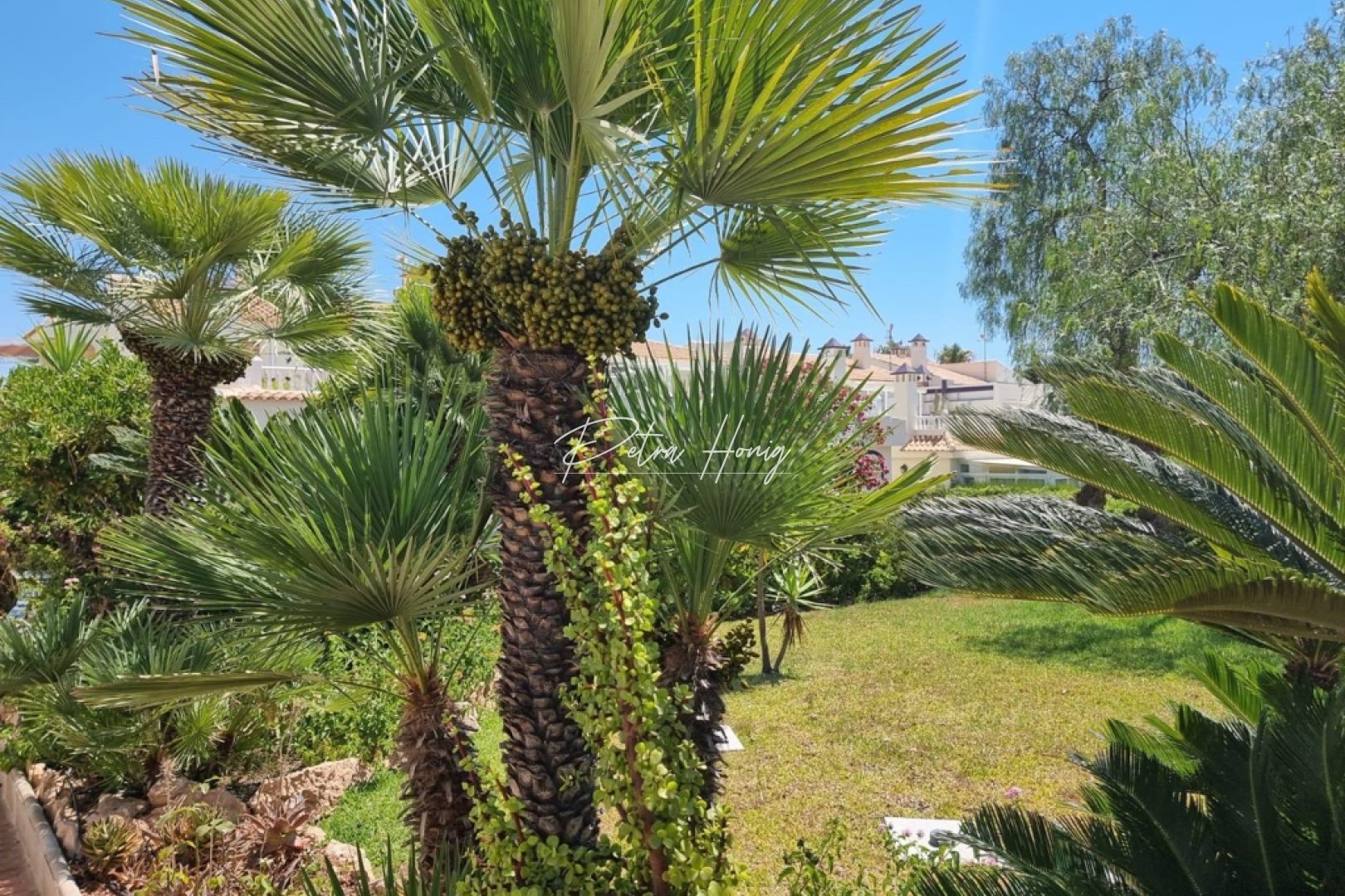 Resales - Appartement - Torrevieja - Los Balcones