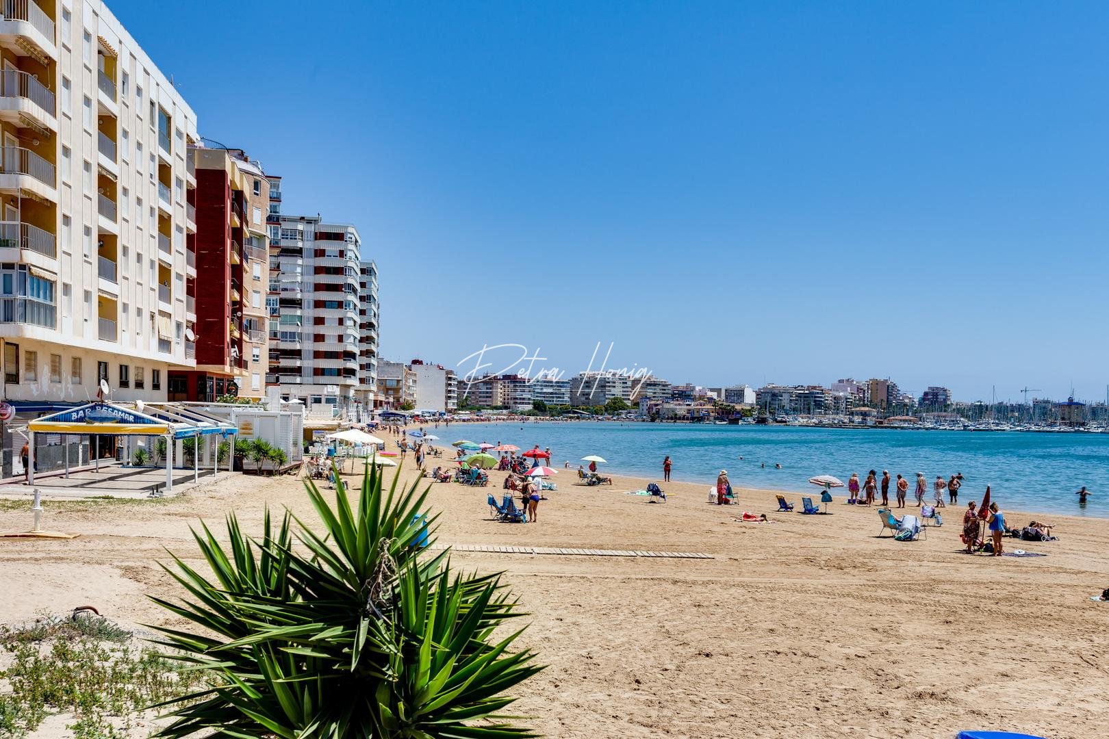 Resales - Appartement - Torrevieja - Playa del Acequion