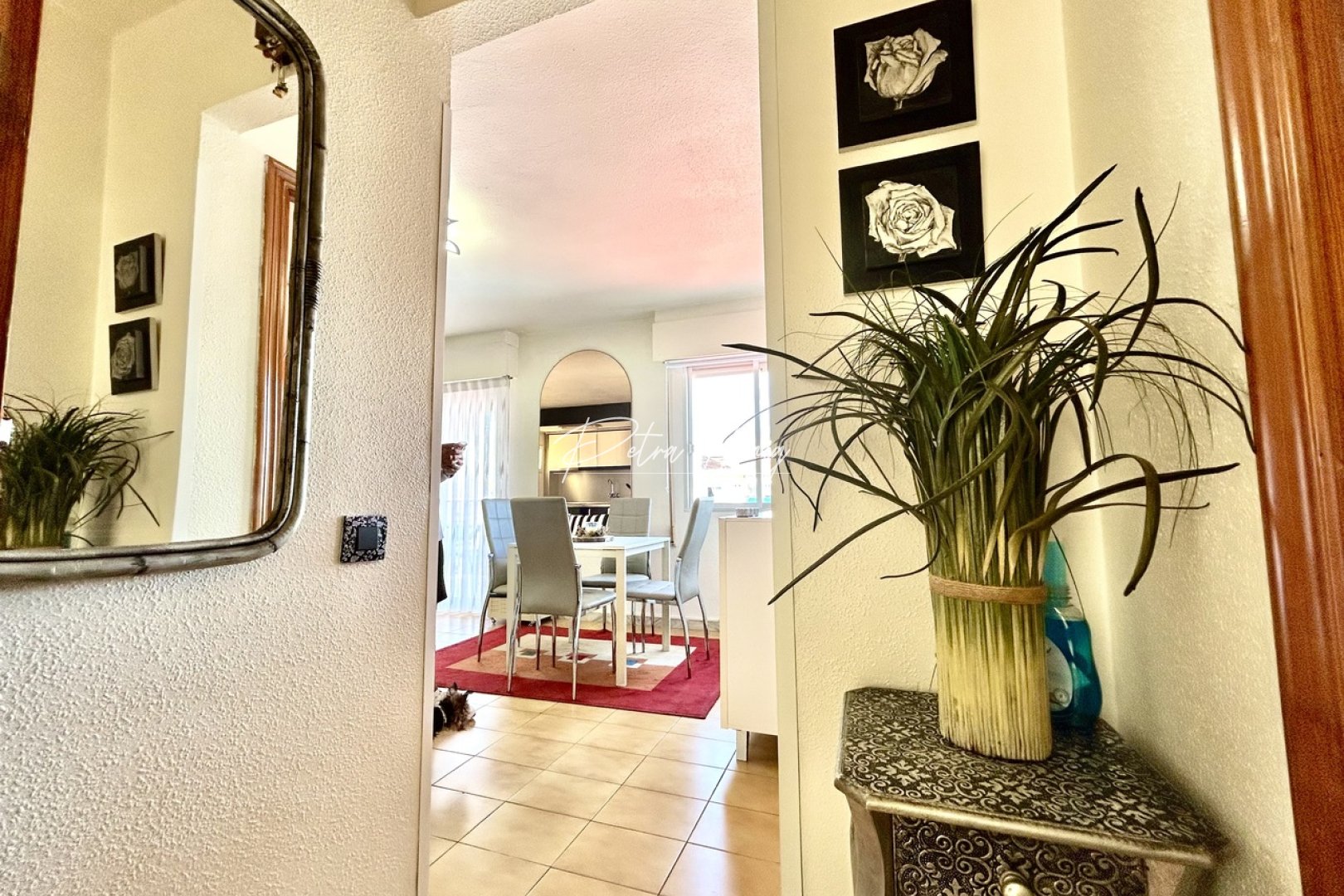 Resales - Appartement - Torrevieja