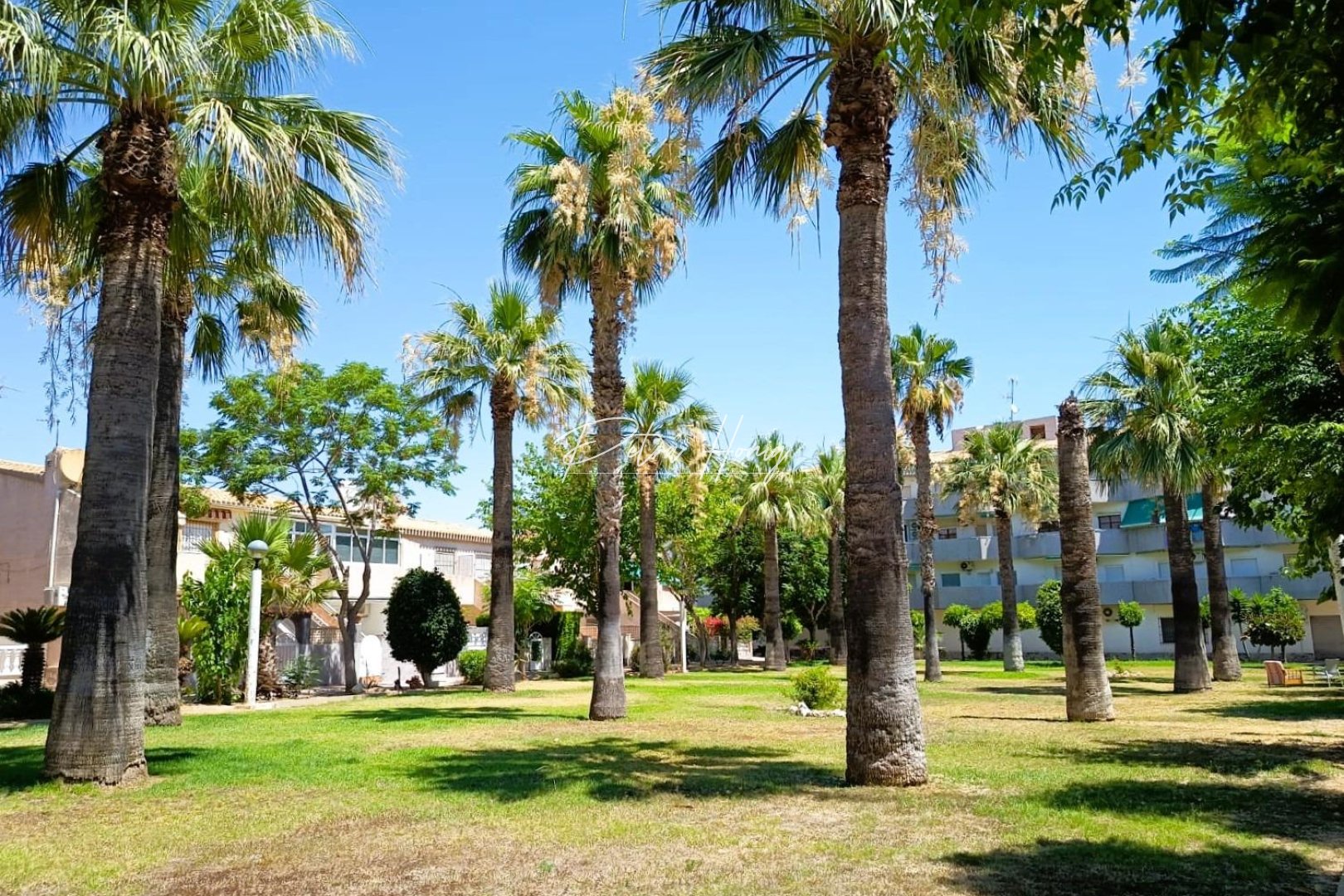 Resales - Bungalow - Orihuela Costa - La Regia
