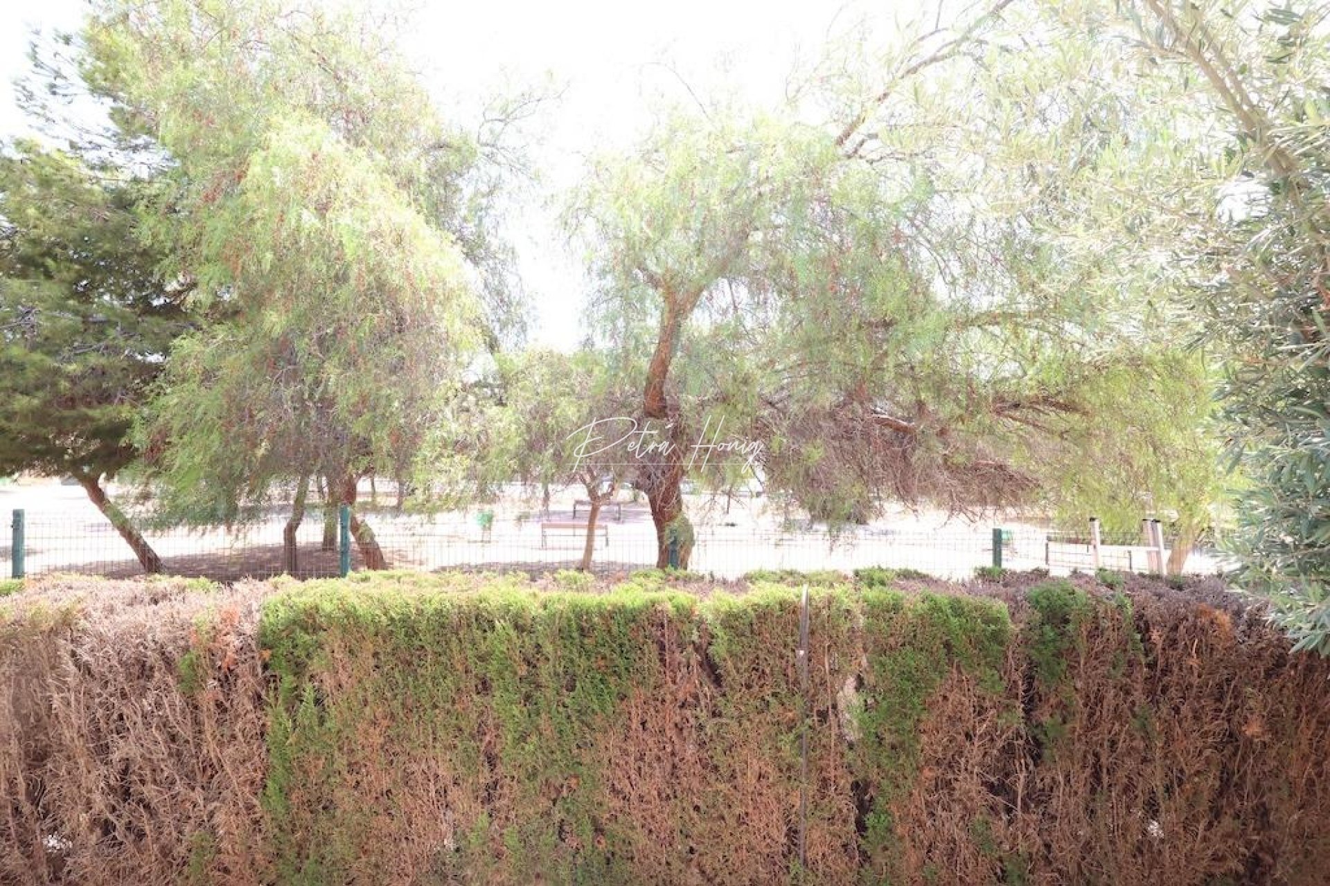 Resales - Bungalow - Orihuela Costa - Punta Prima