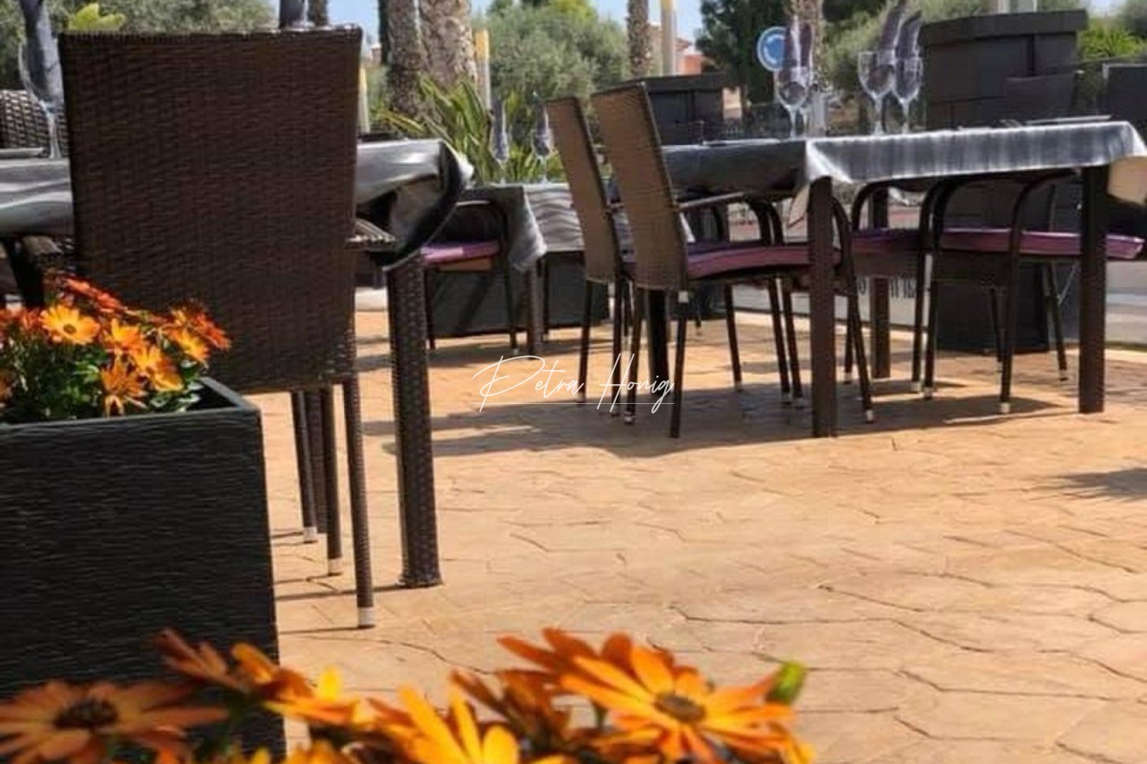 Resales - Commercial - Guardamar del Segura