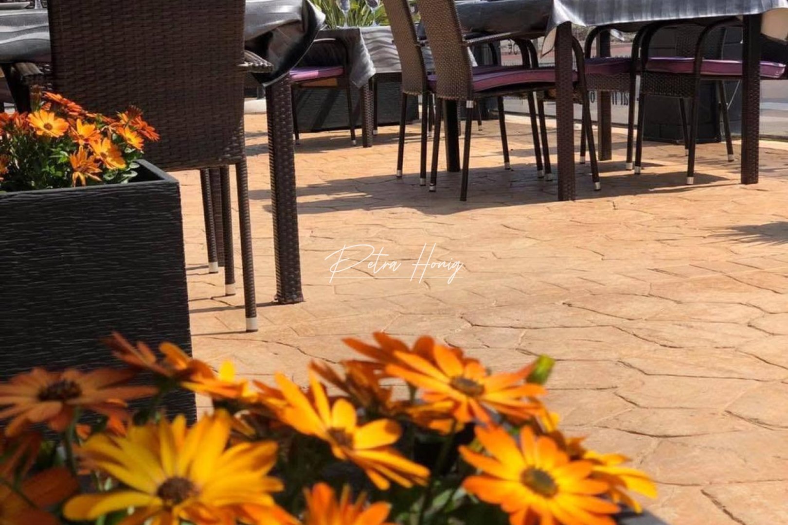 Resales - Commercial - Guardamar del Segura