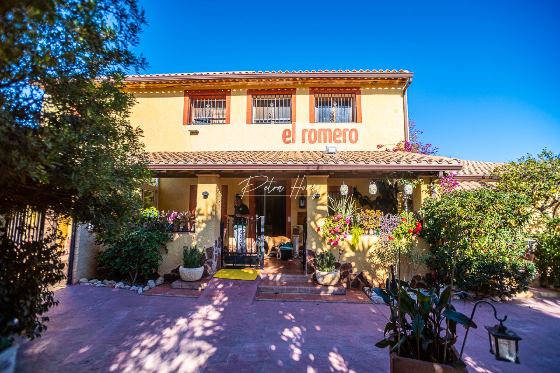 Resales - Commercial - Hondón de las Nieves