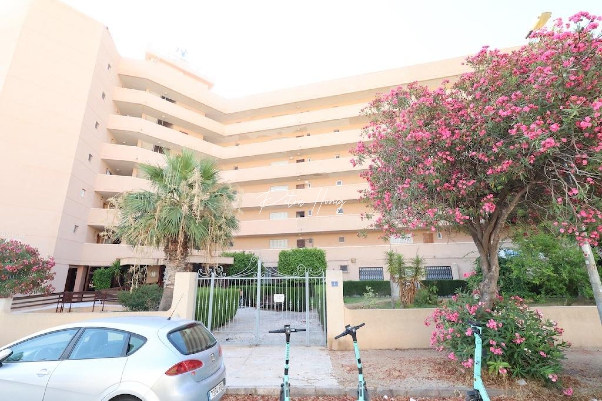 Resales - Commercial - Orihuela Costa - La Zenia