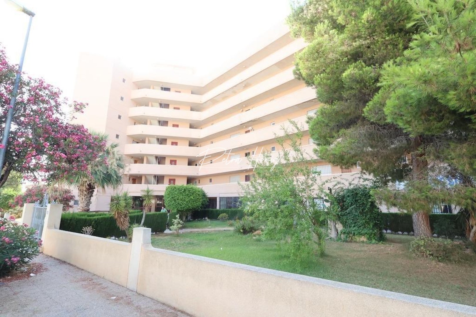 Resales - Commercial - Orihuela Costa - La Zenia