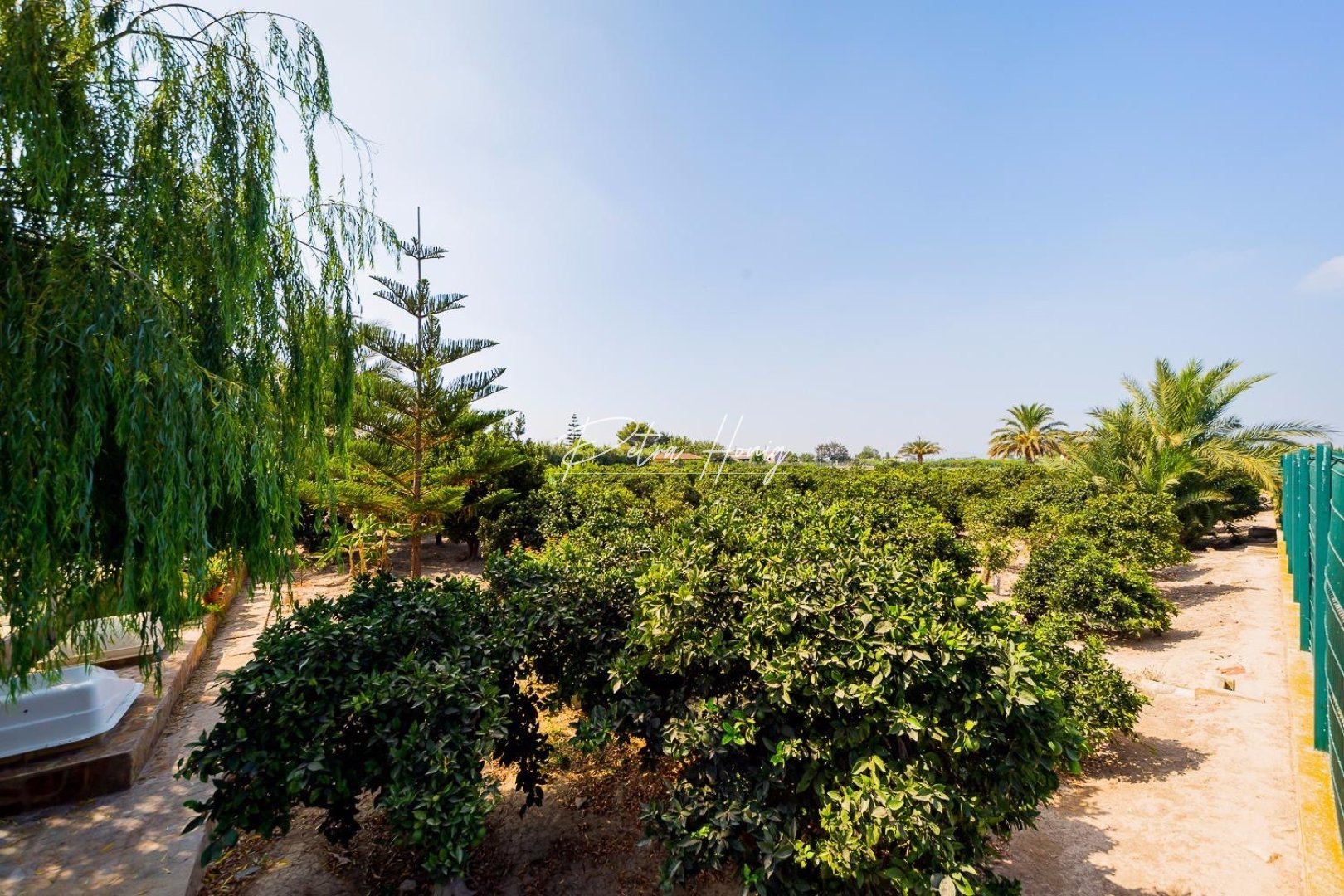 Resales - Finca - Almoradi