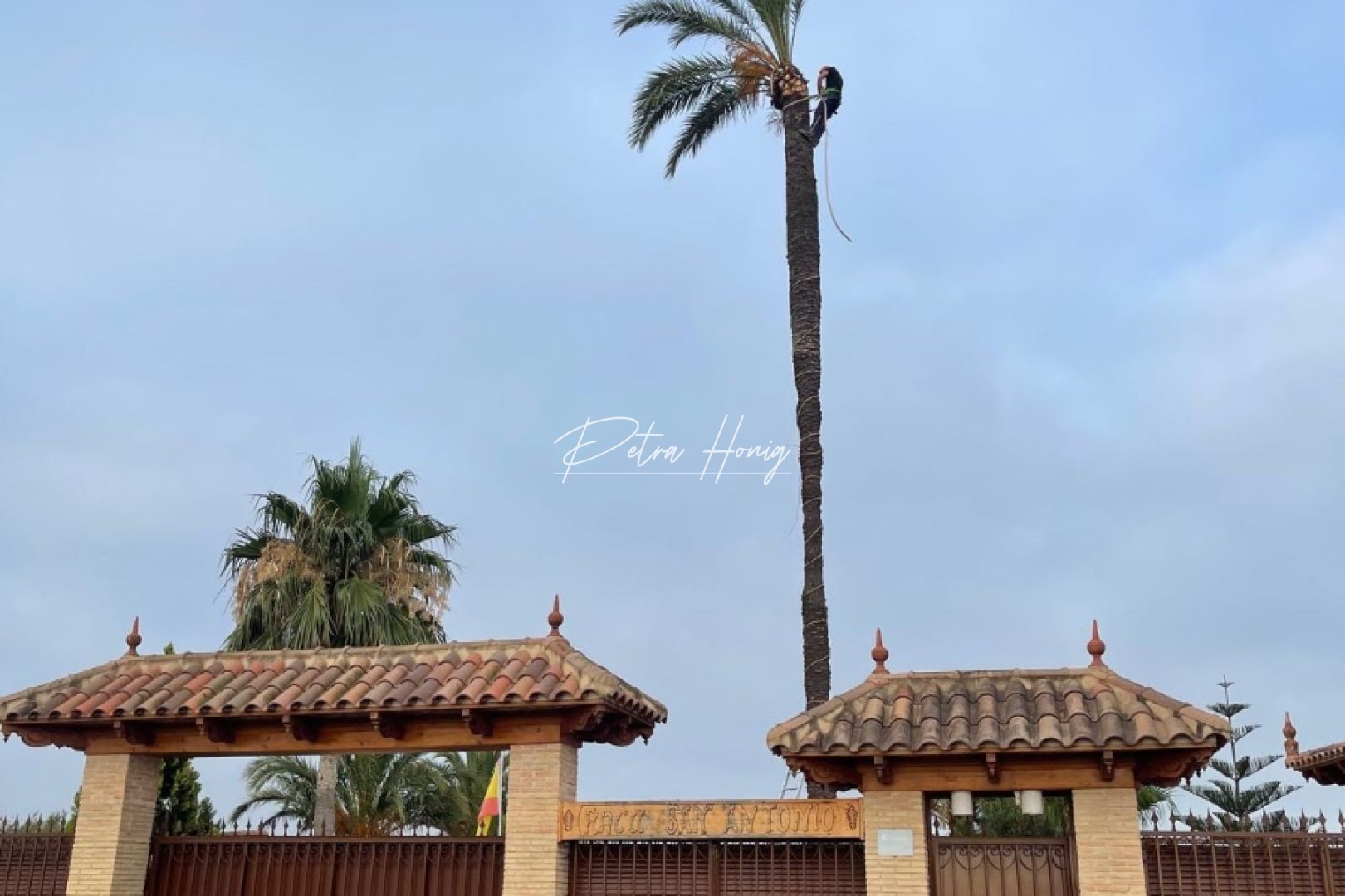 Resales - Finca - Almoradi
