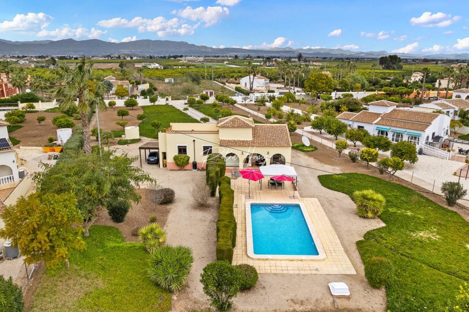 Resales - Finca - Almoradi