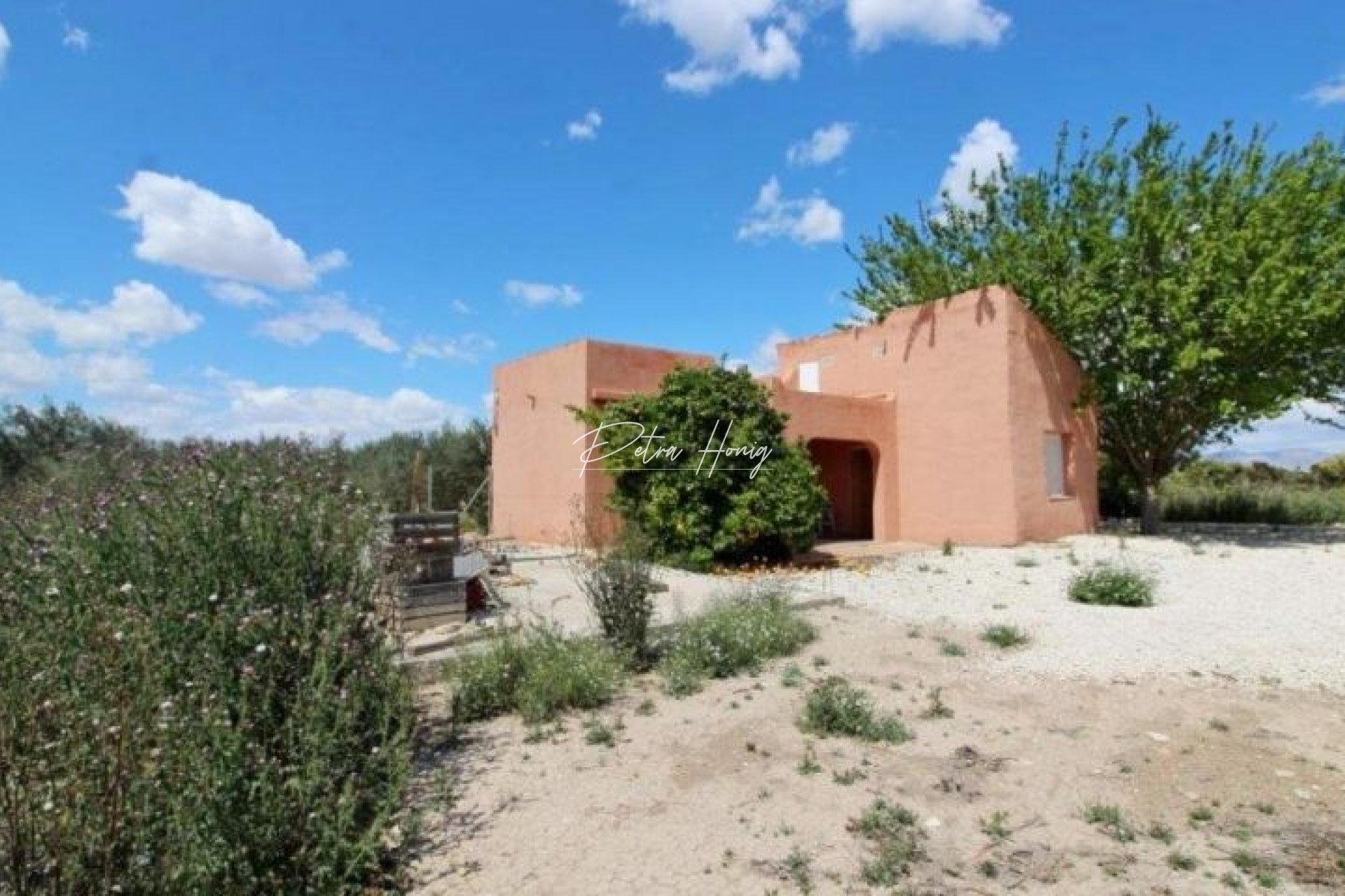 Resales - Finca - Benejuzar