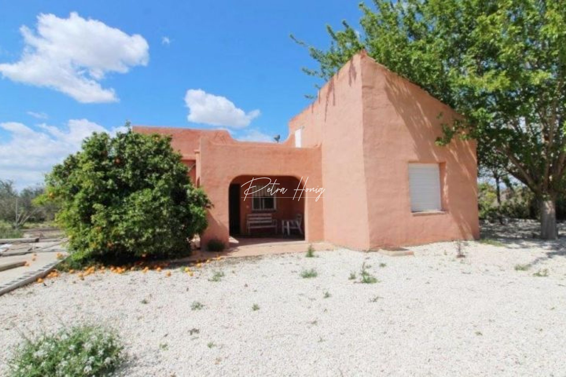 Resales - Finca - Benejuzar
