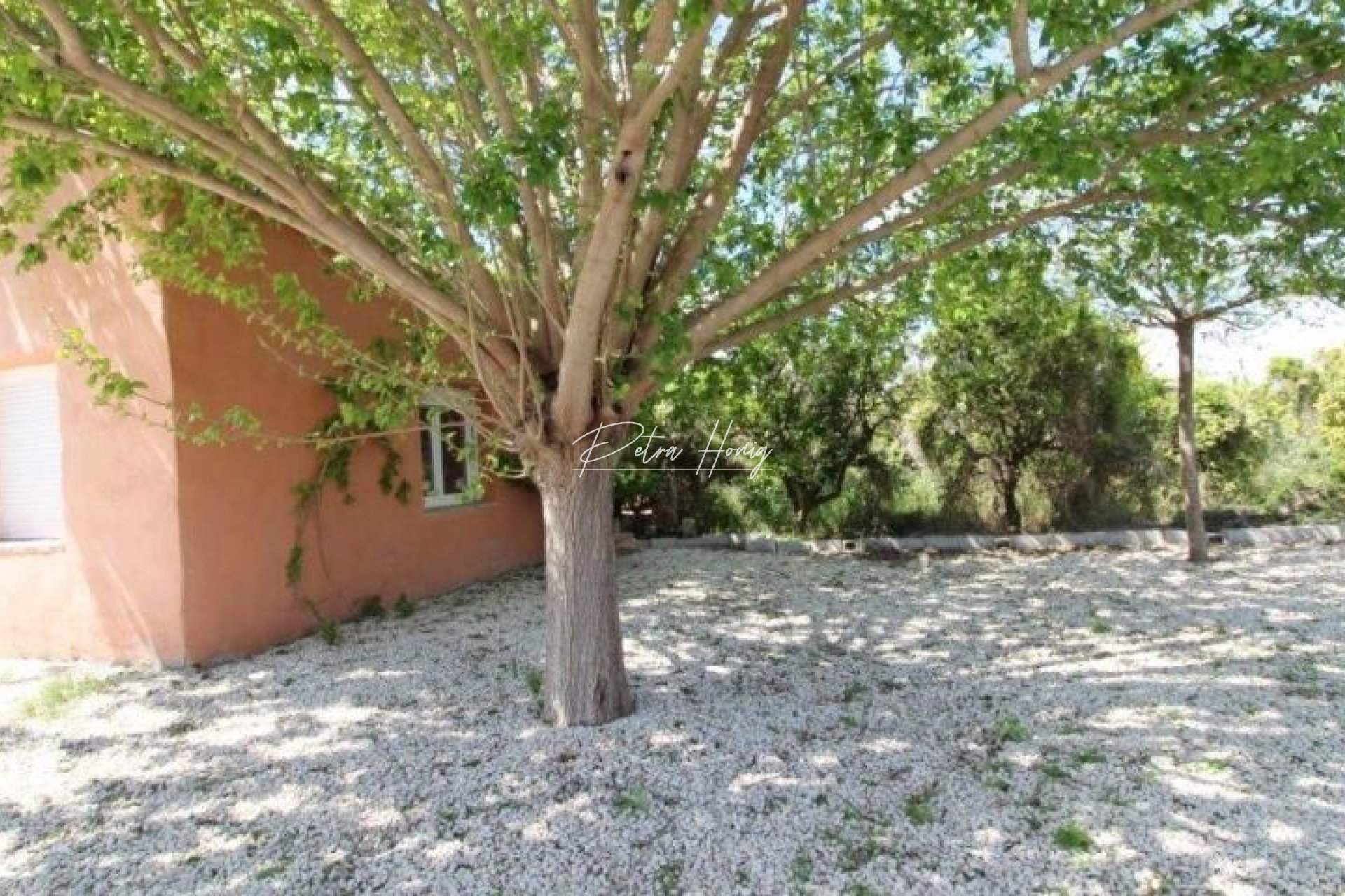 Resales - Finca - Benejuzar