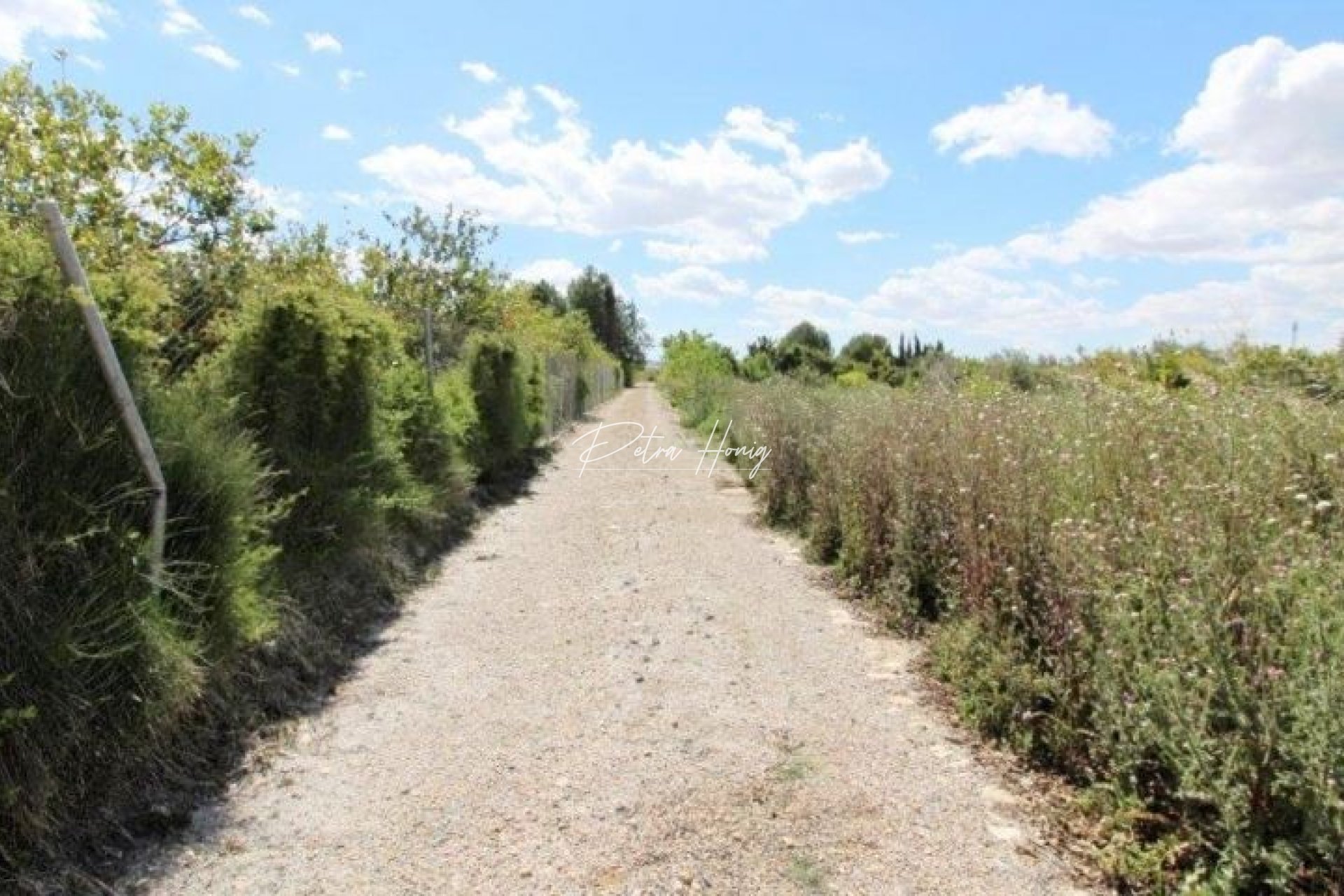Resales - Finca - Benejuzar