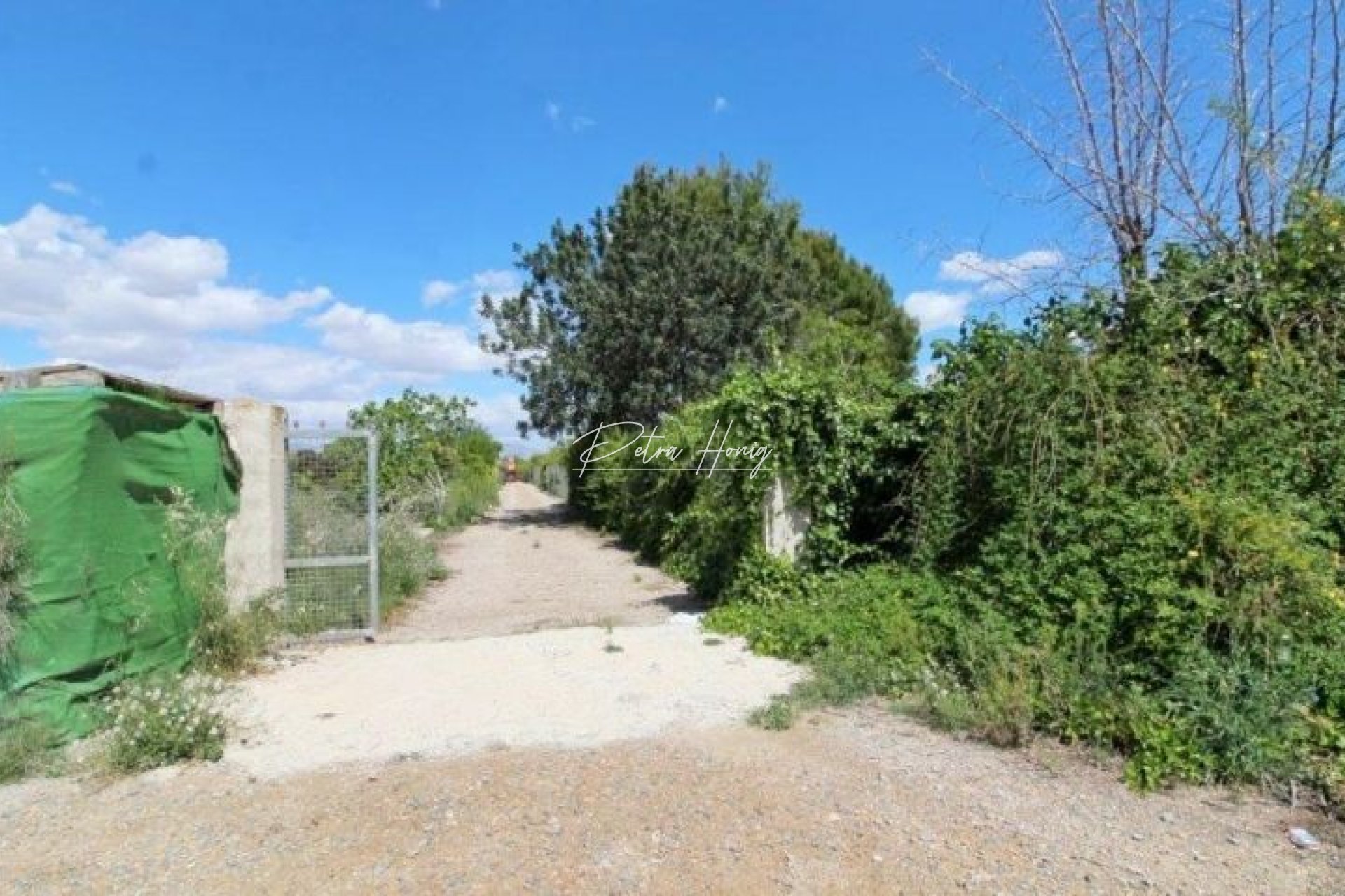 Resales - Finca - Benejuzar