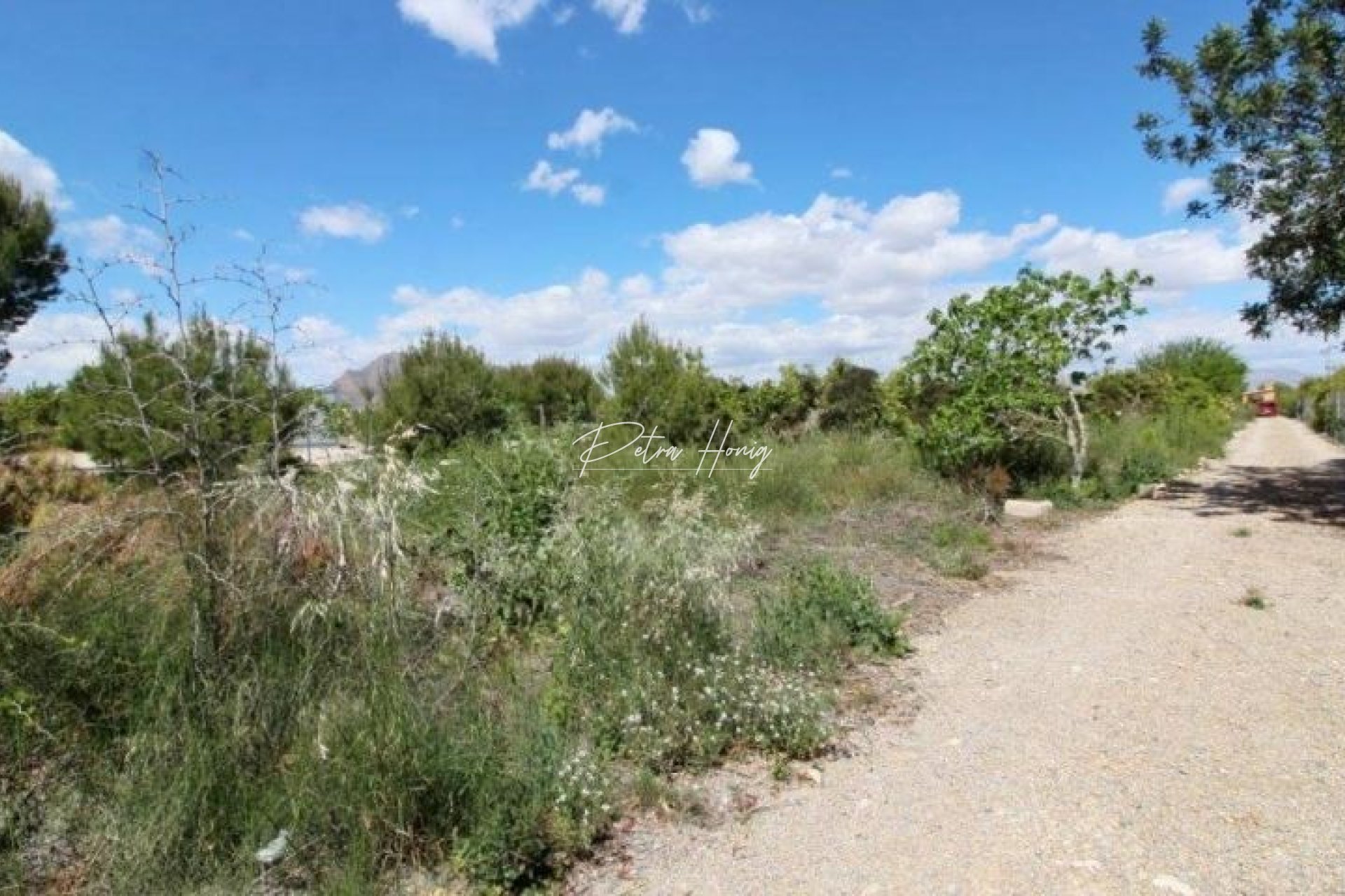 Resales - Finca - Benejuzar
