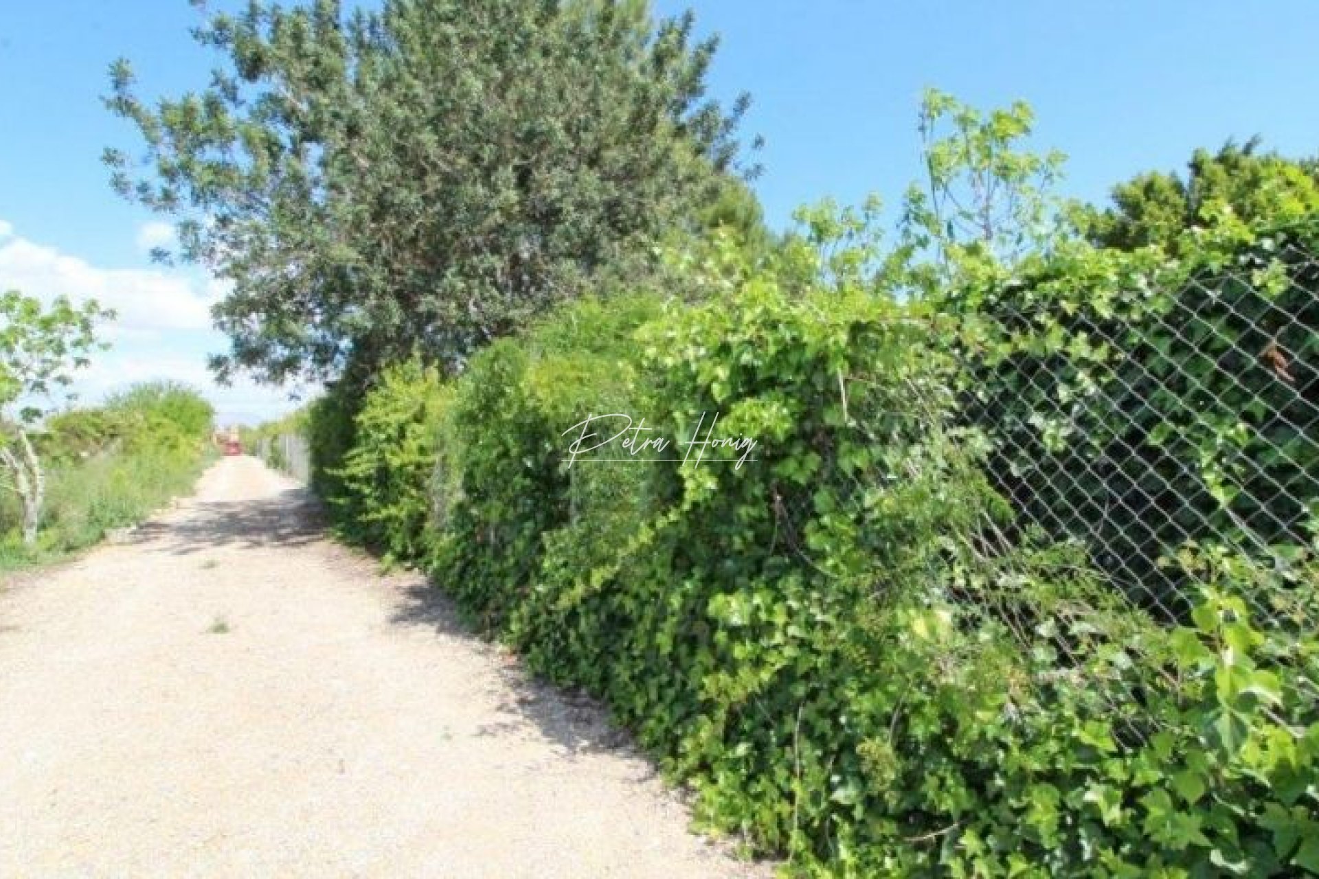 Resales - Finca - Benejuzar