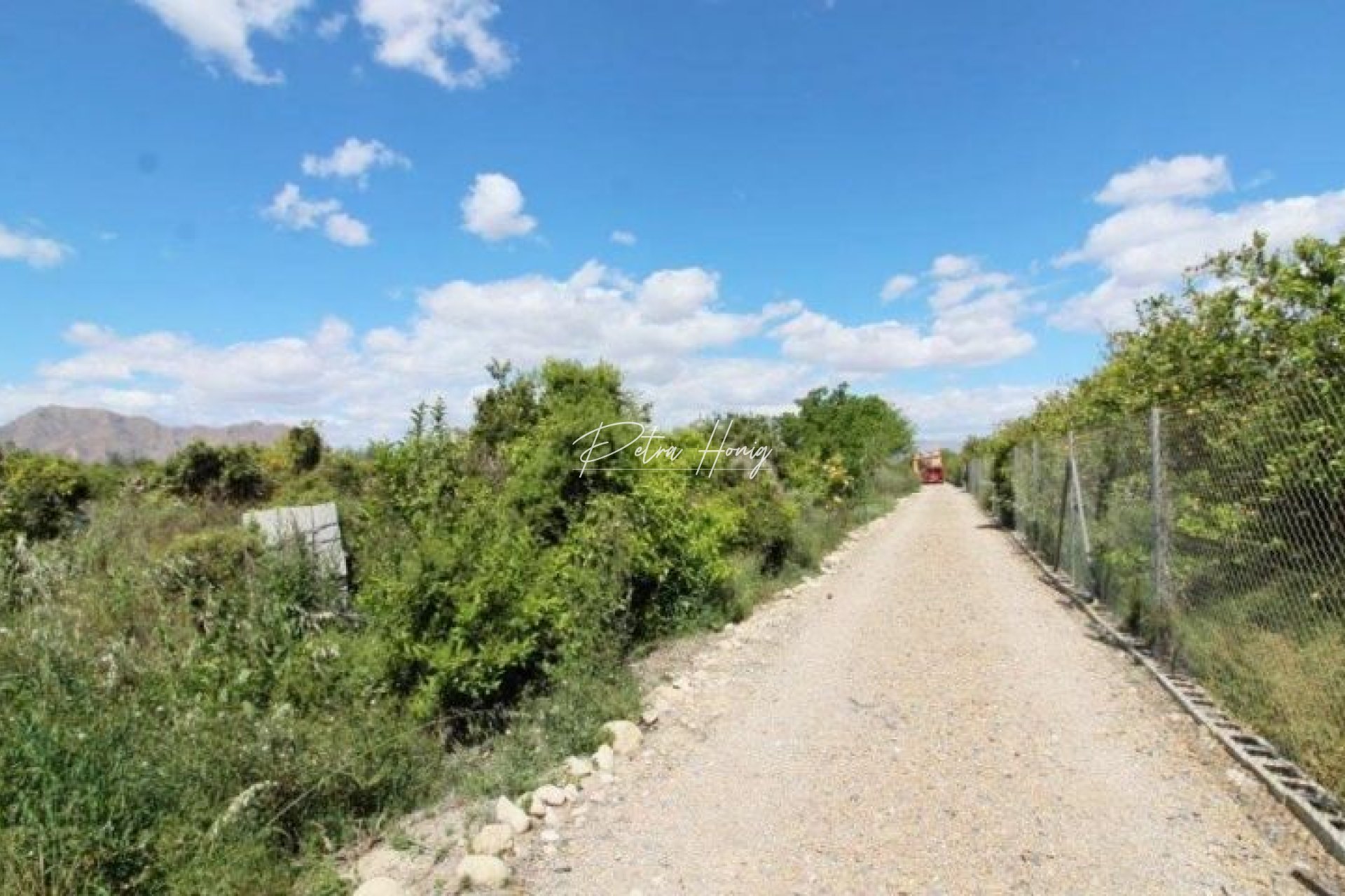 Resales - Finca - Benejuzar