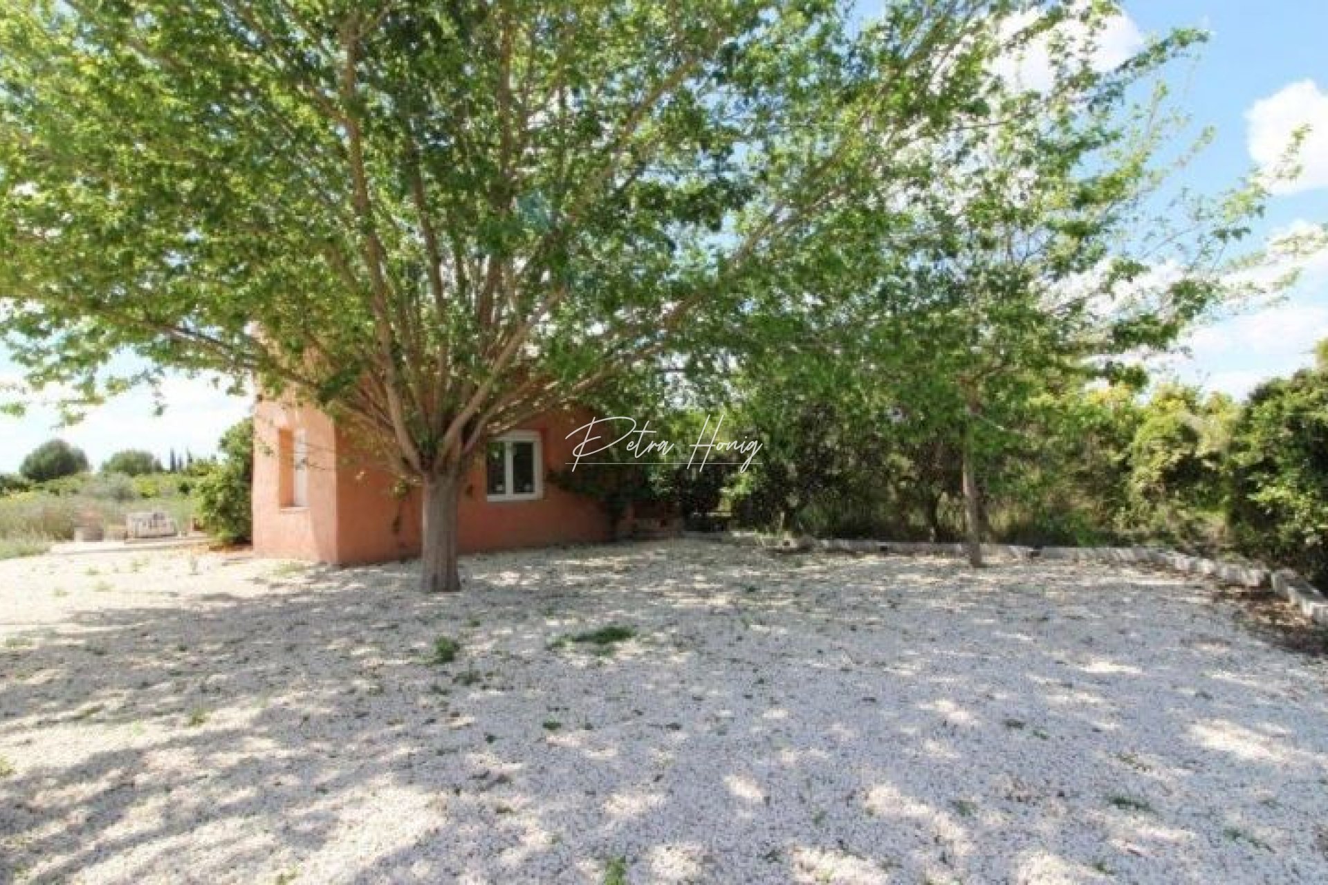 Resales - Finca - Benejuzar