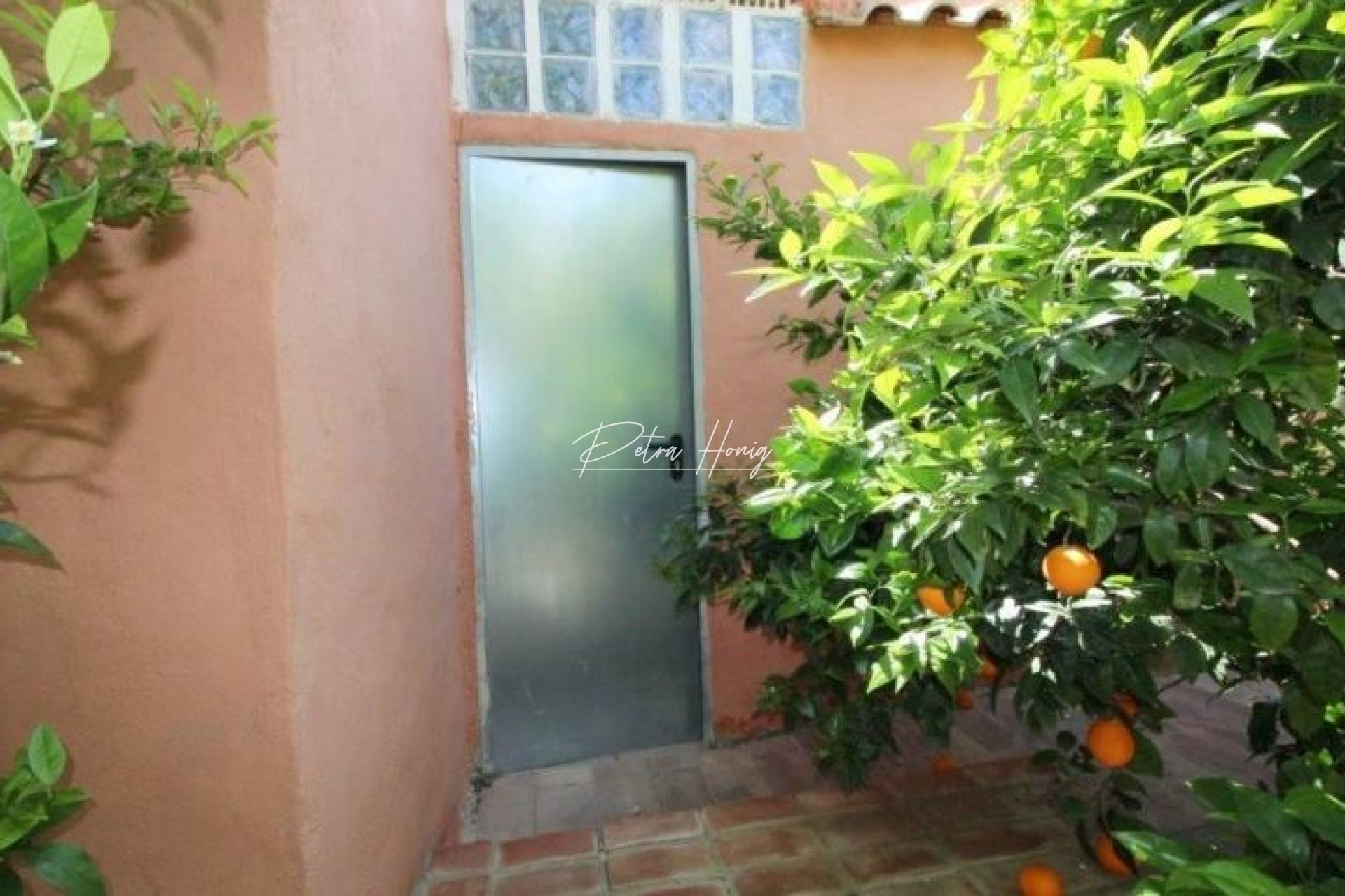 Resales - Finca - Benejuzar