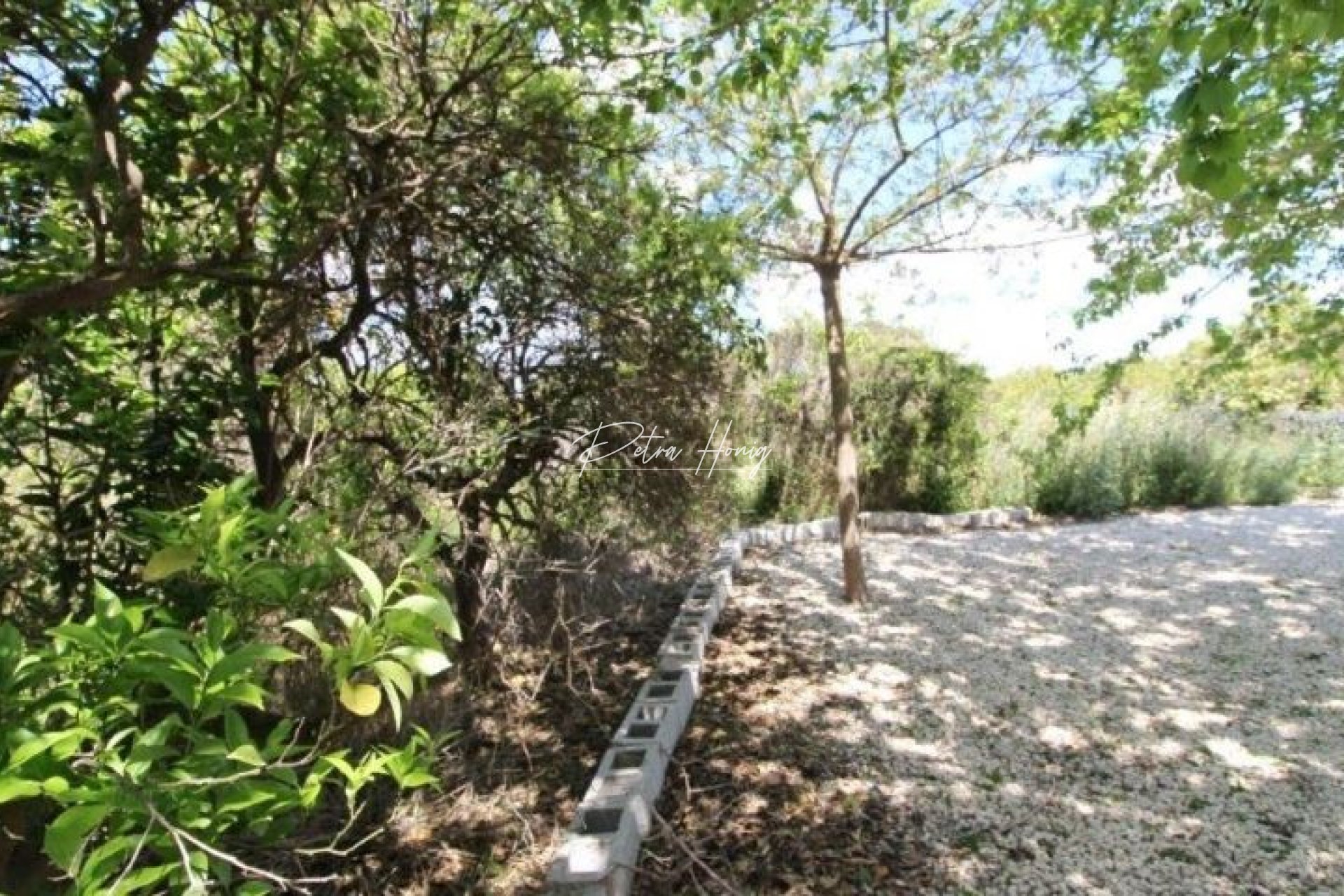 Resales - Finca - Benejuzar