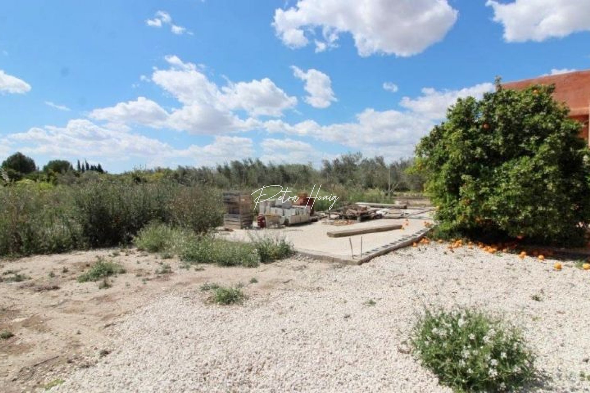Resales - Finca - Benejuzar