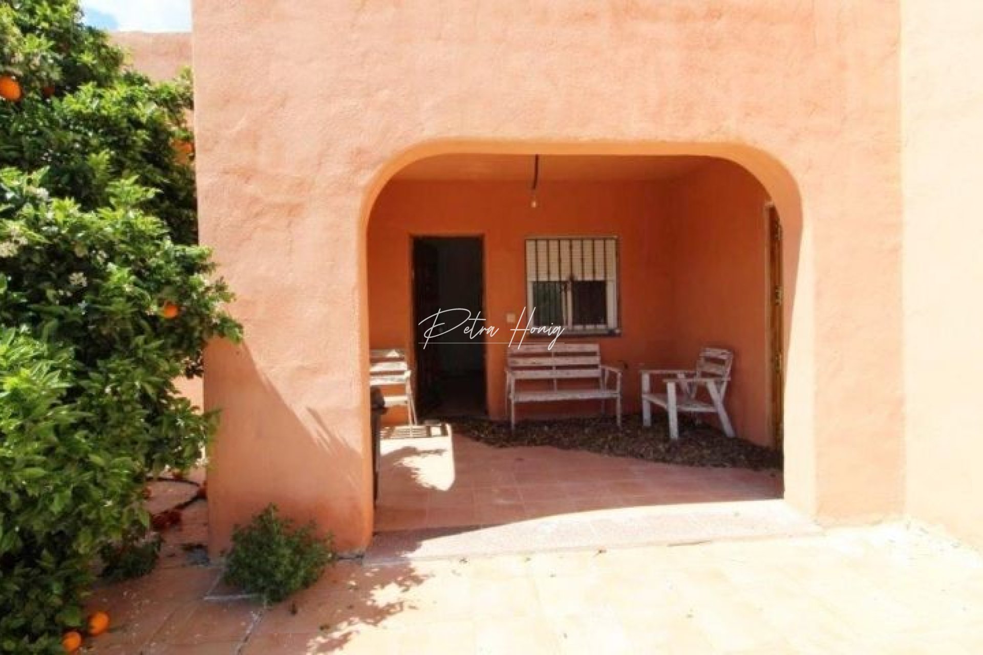 Resales - Finca - Benejuzar