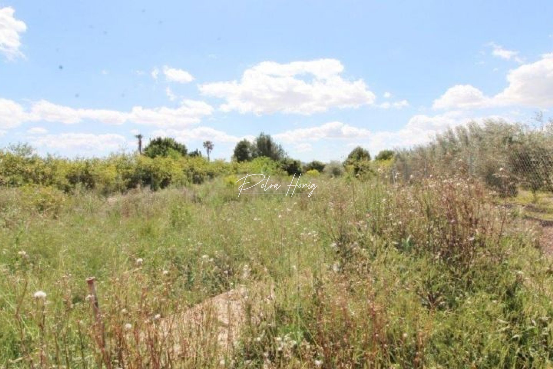 Resales - Finca - Benejuzar