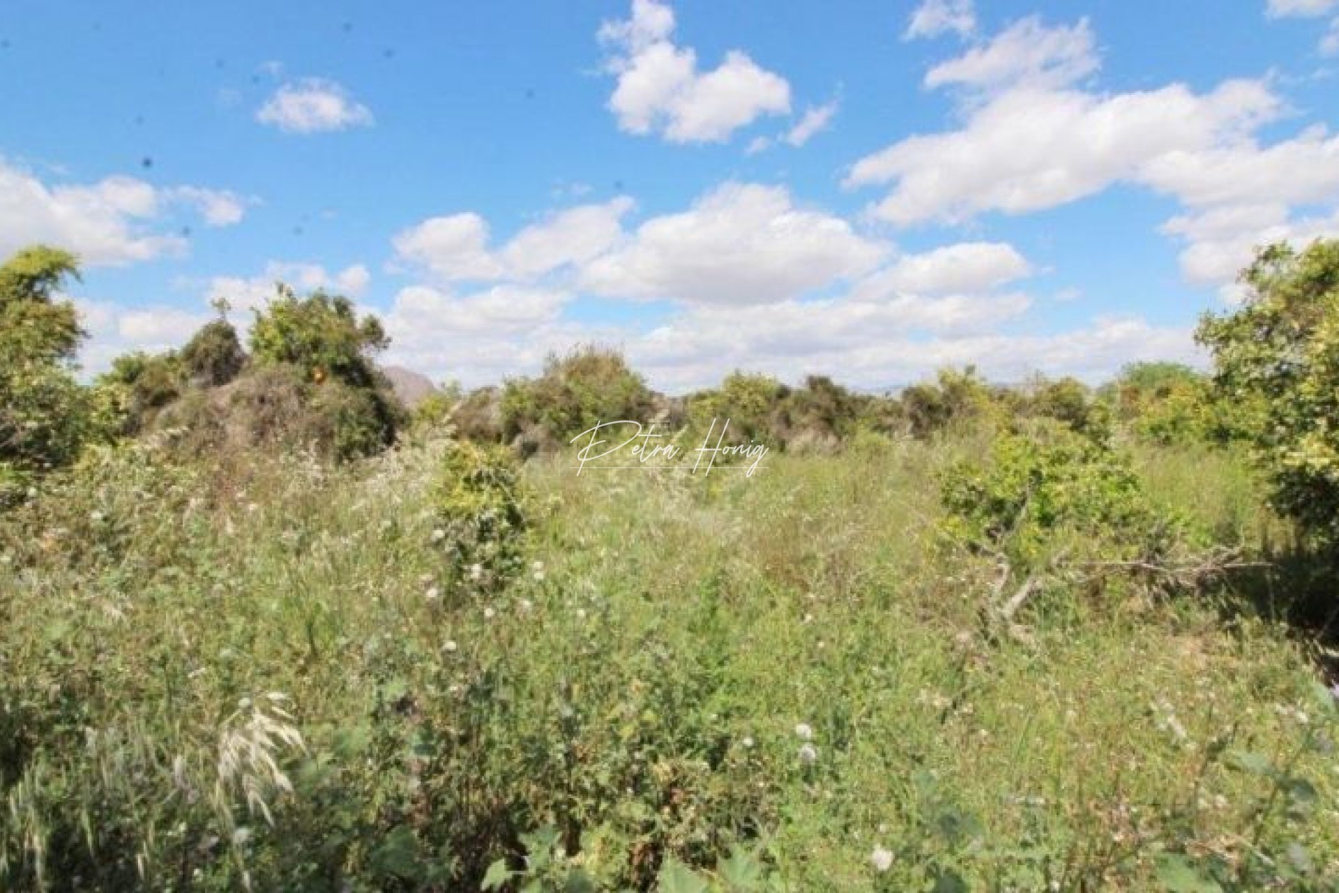 Resales - Finca - Benejuzar