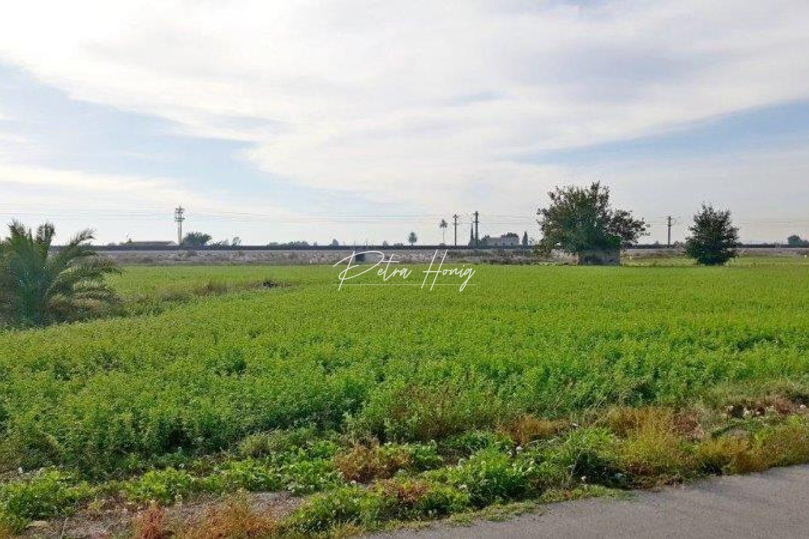 Resales - Finca - Callosa de Segura - Callosa De Segura