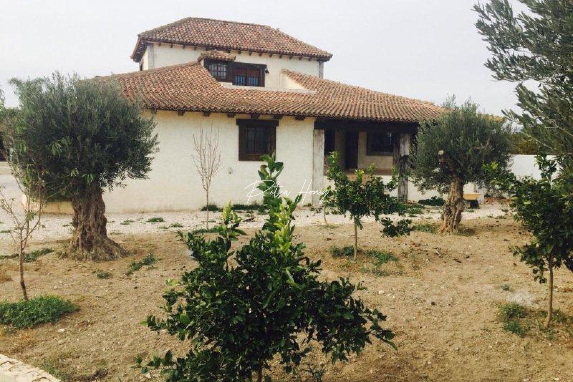 Resales - Finca - Callosa de Segura - Callosa Del Segura