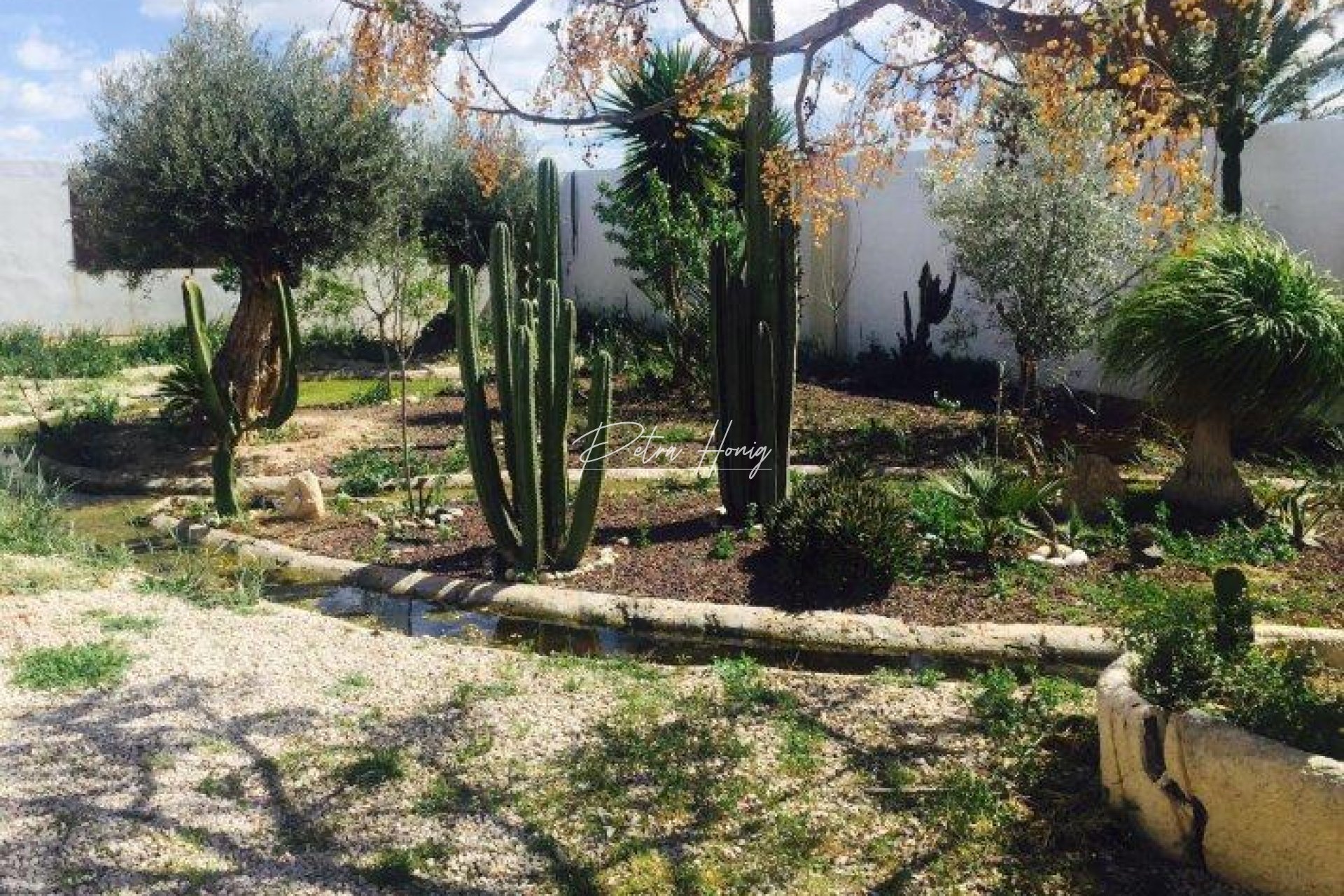Resales - Finca - Callosa de Segura - Callosa Del Segura