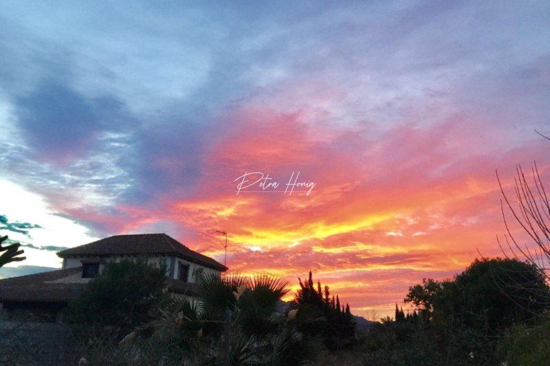 Resales - Finca - Callosa de Segura - Callosa Del Segura