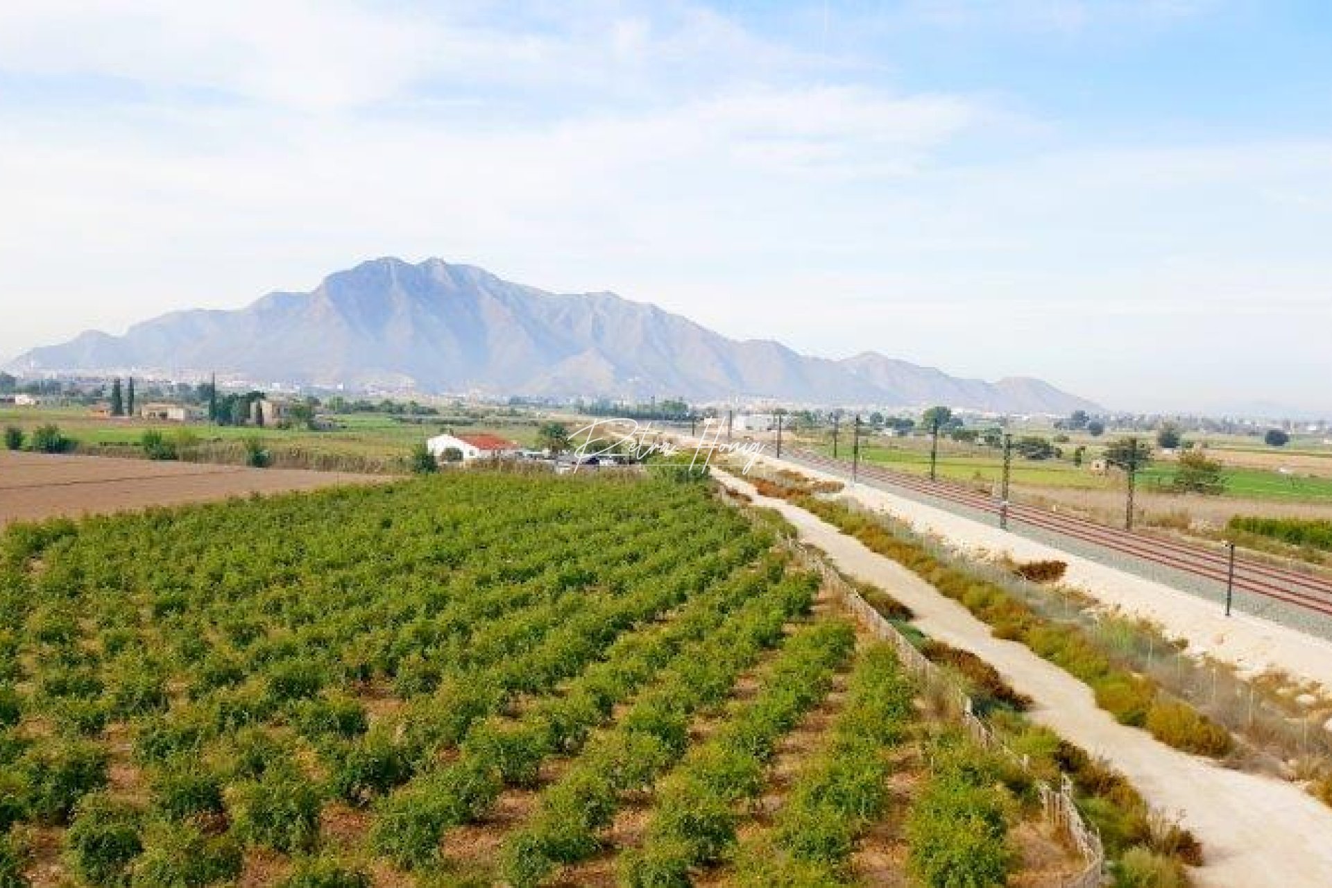 Resales - Finca - Callosa De Segura