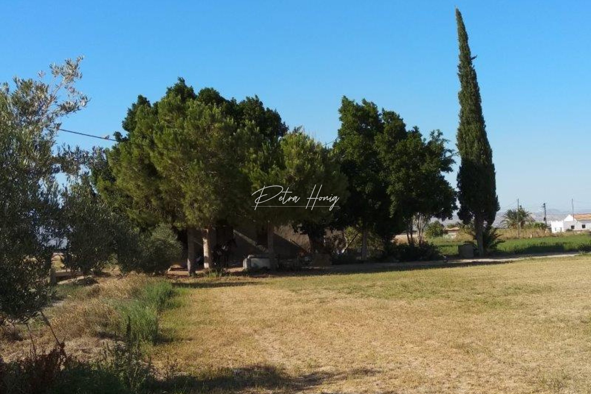 Resales - Finca - Callosa De Segura