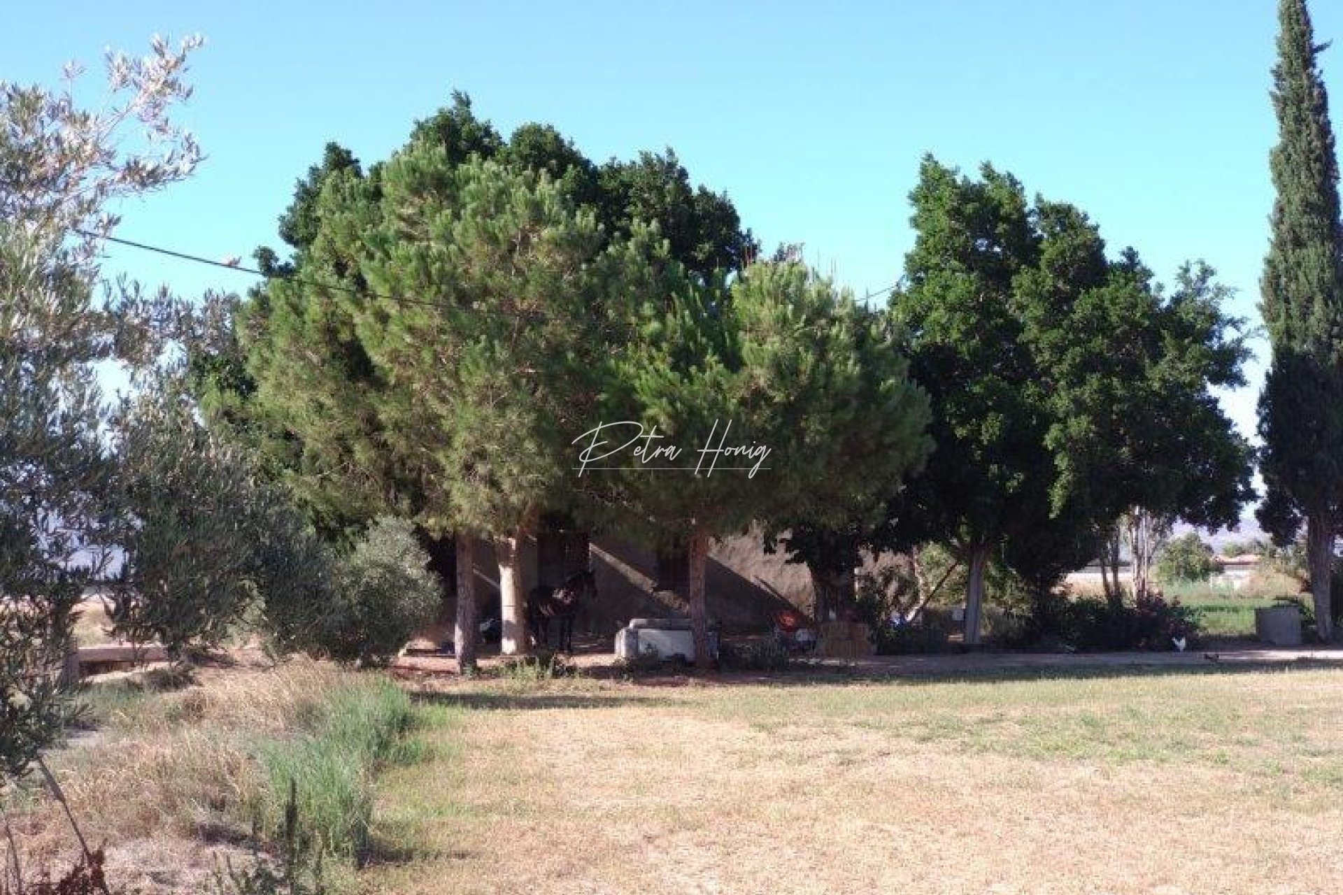 Resales - Finca - Callosa De Segura