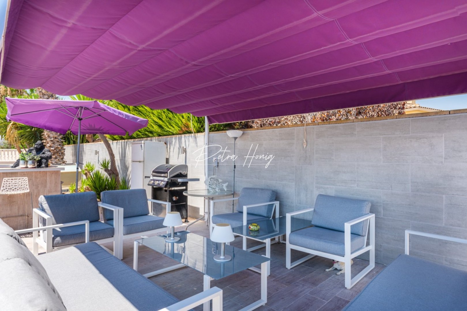 Resales - Finca - CATRAL - Catral