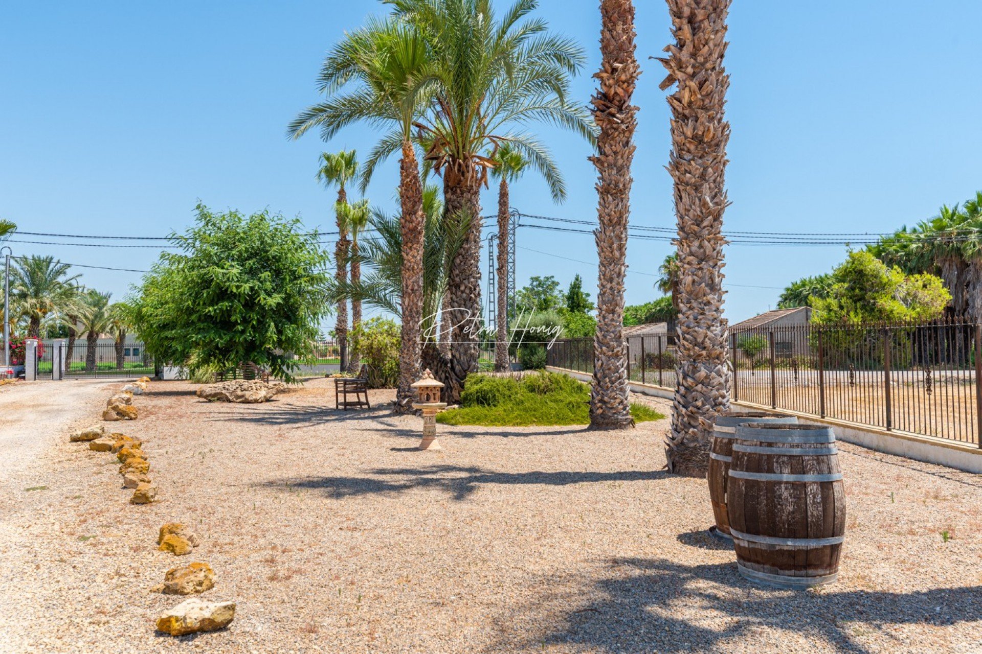 Resales - Finca - Catral