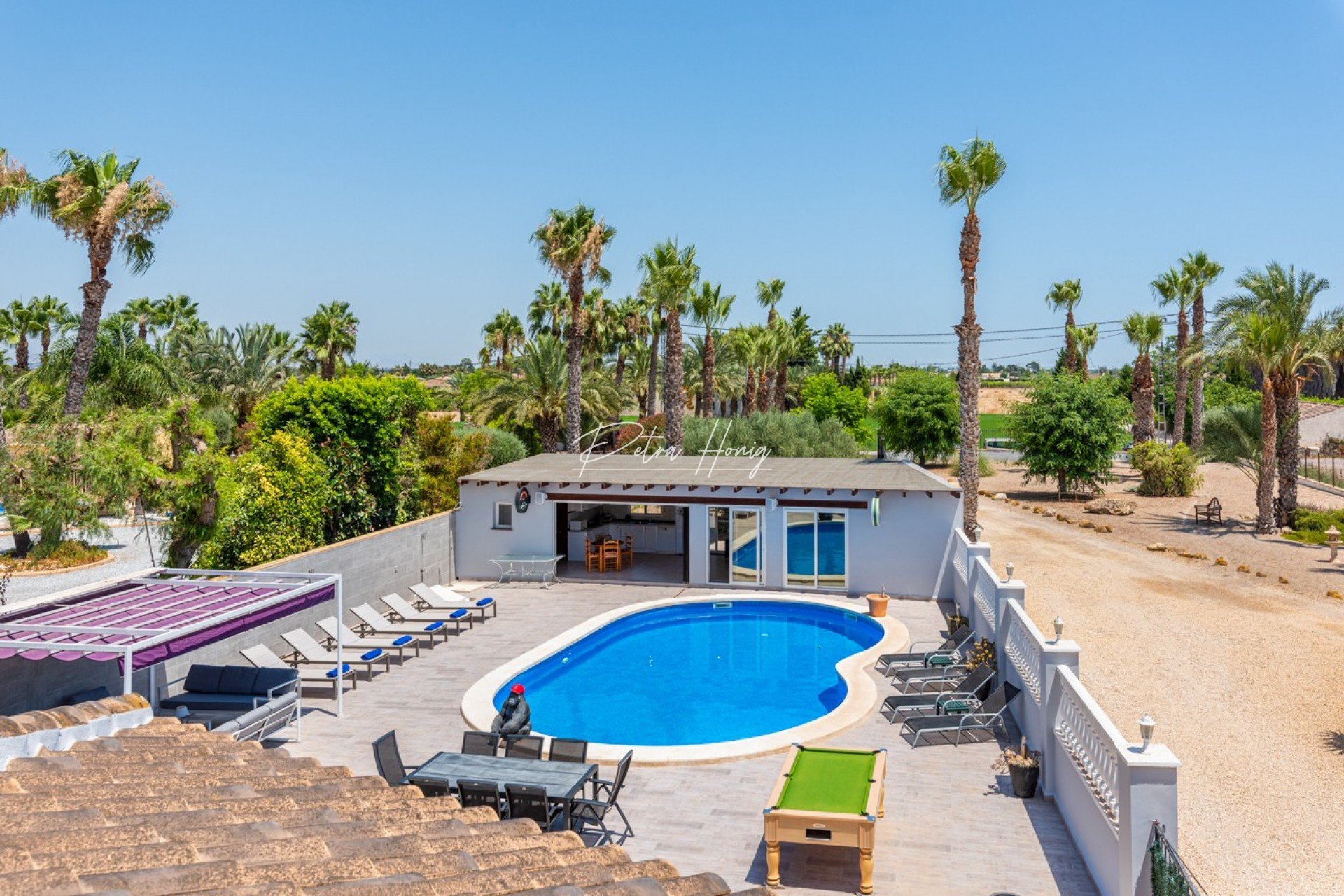 Resales - Finca - Catral