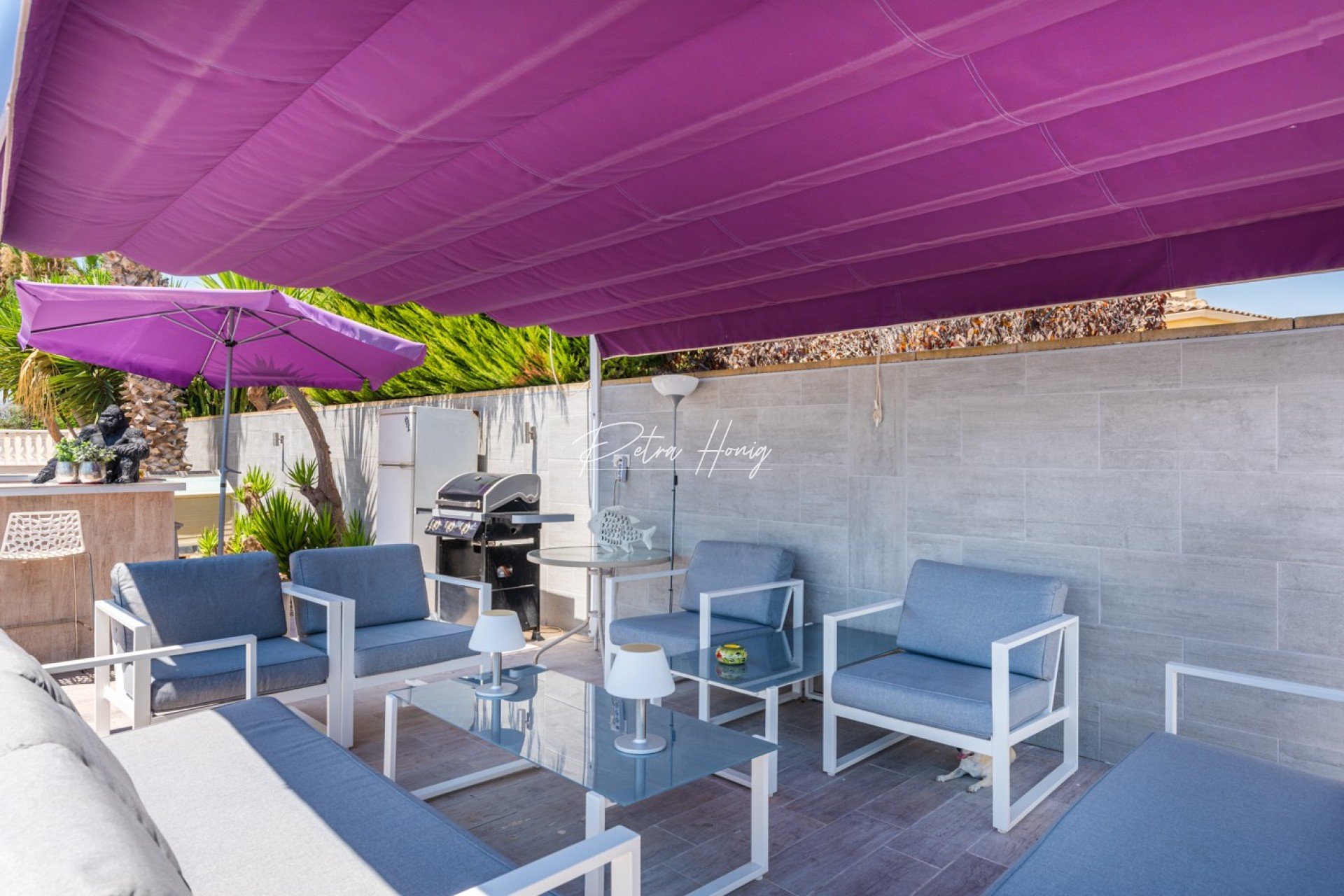 Resales - Finca - Catral