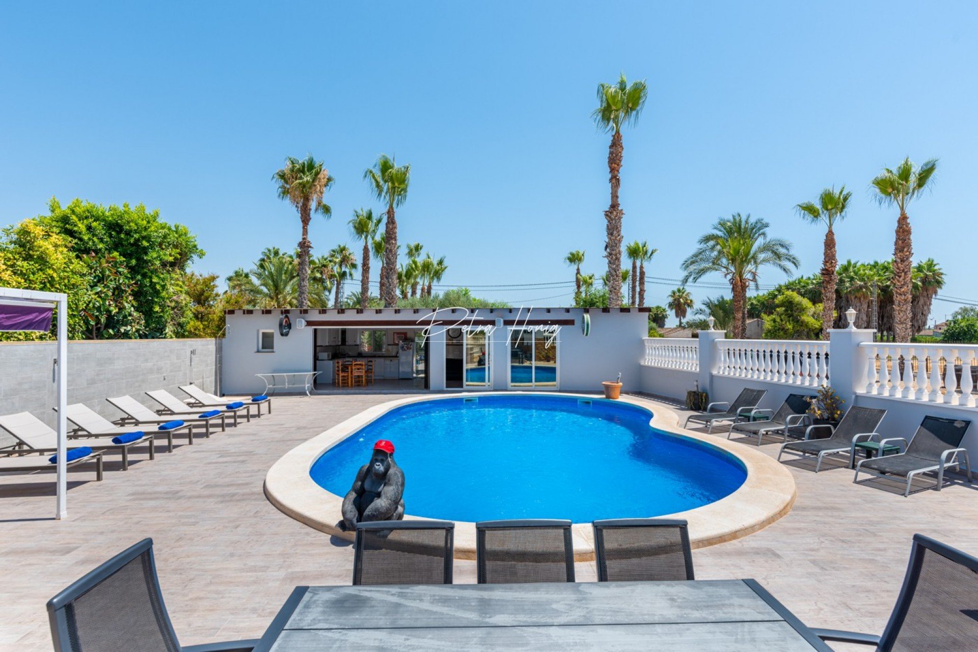 Resales - Finca - Catral